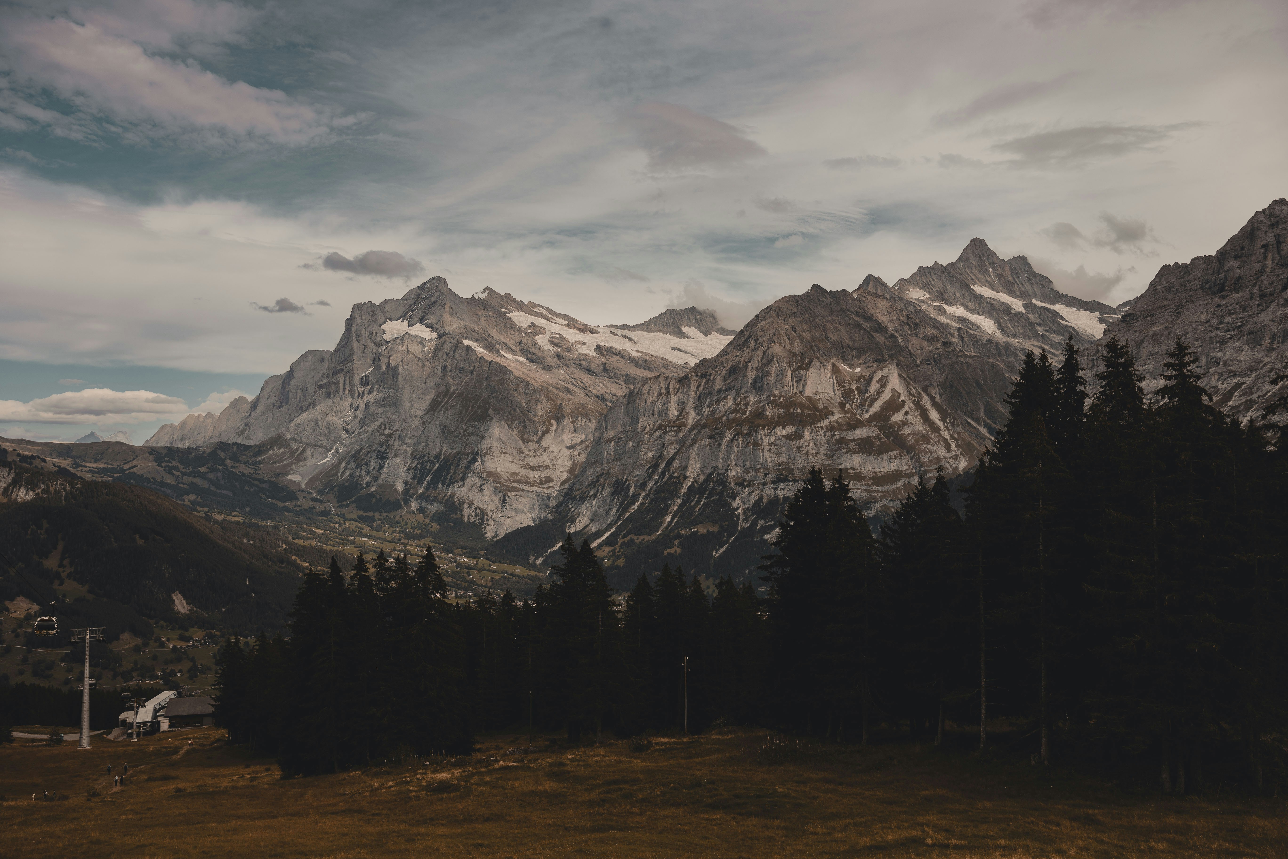 a view of a mountain range with trees in the foreground