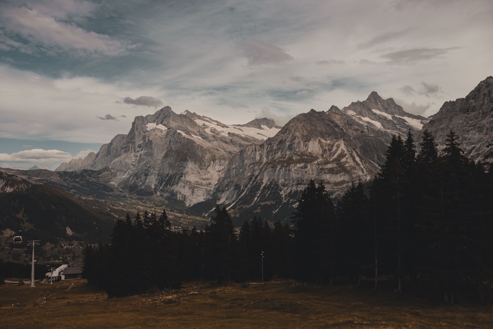 a view of a mountain range with trees in the foreground