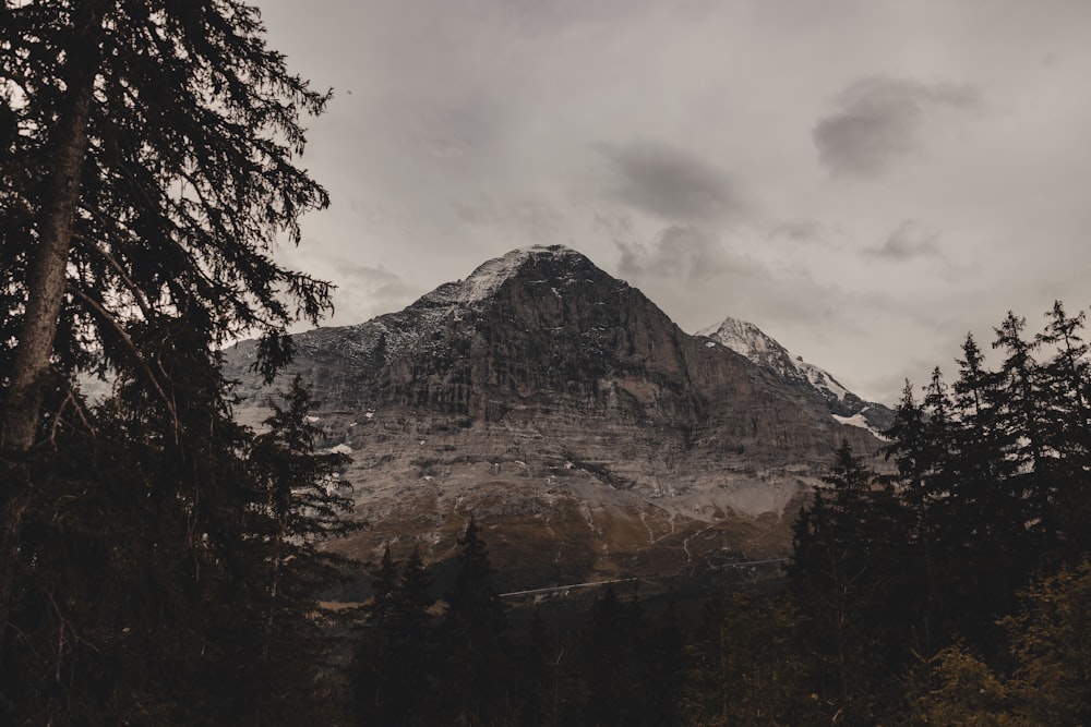 una montagna con alberi e un cielo nuvoloso