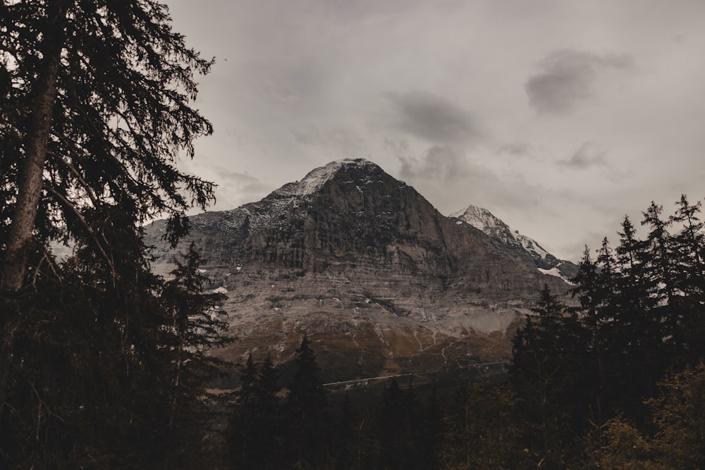 a mountain with trees and a cloudy sky