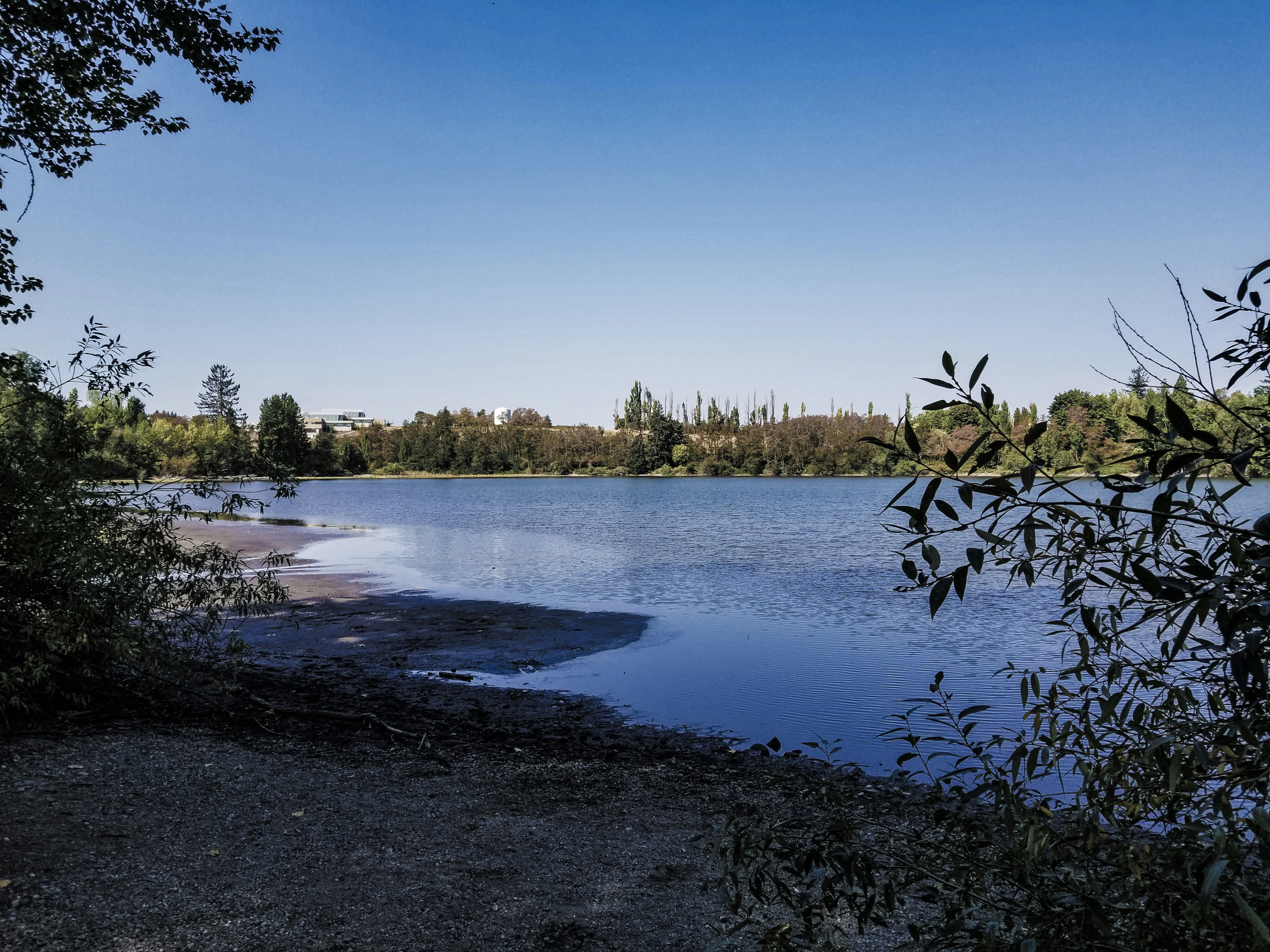 Photo by prphotography262