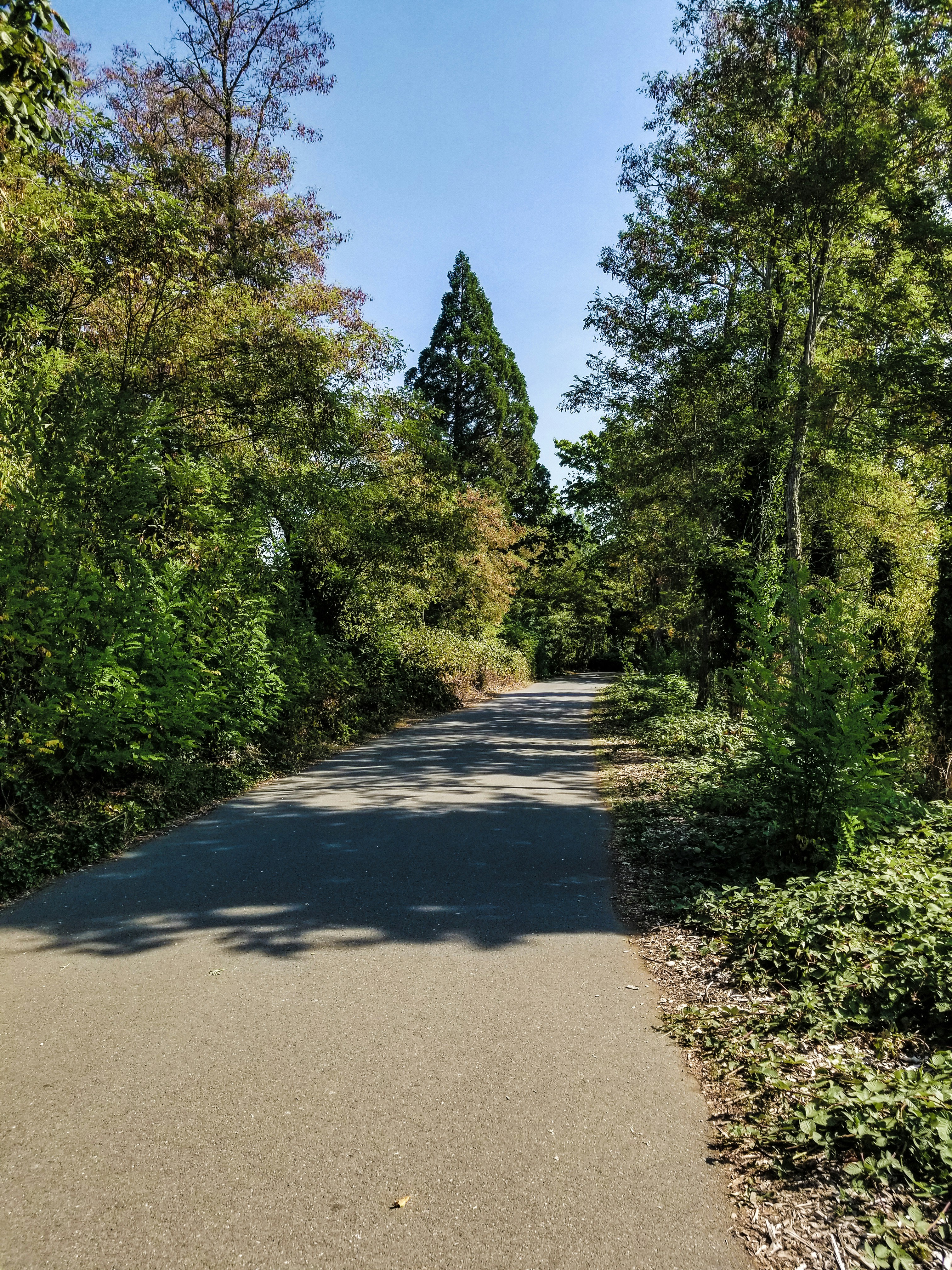 Photo by prphotography262