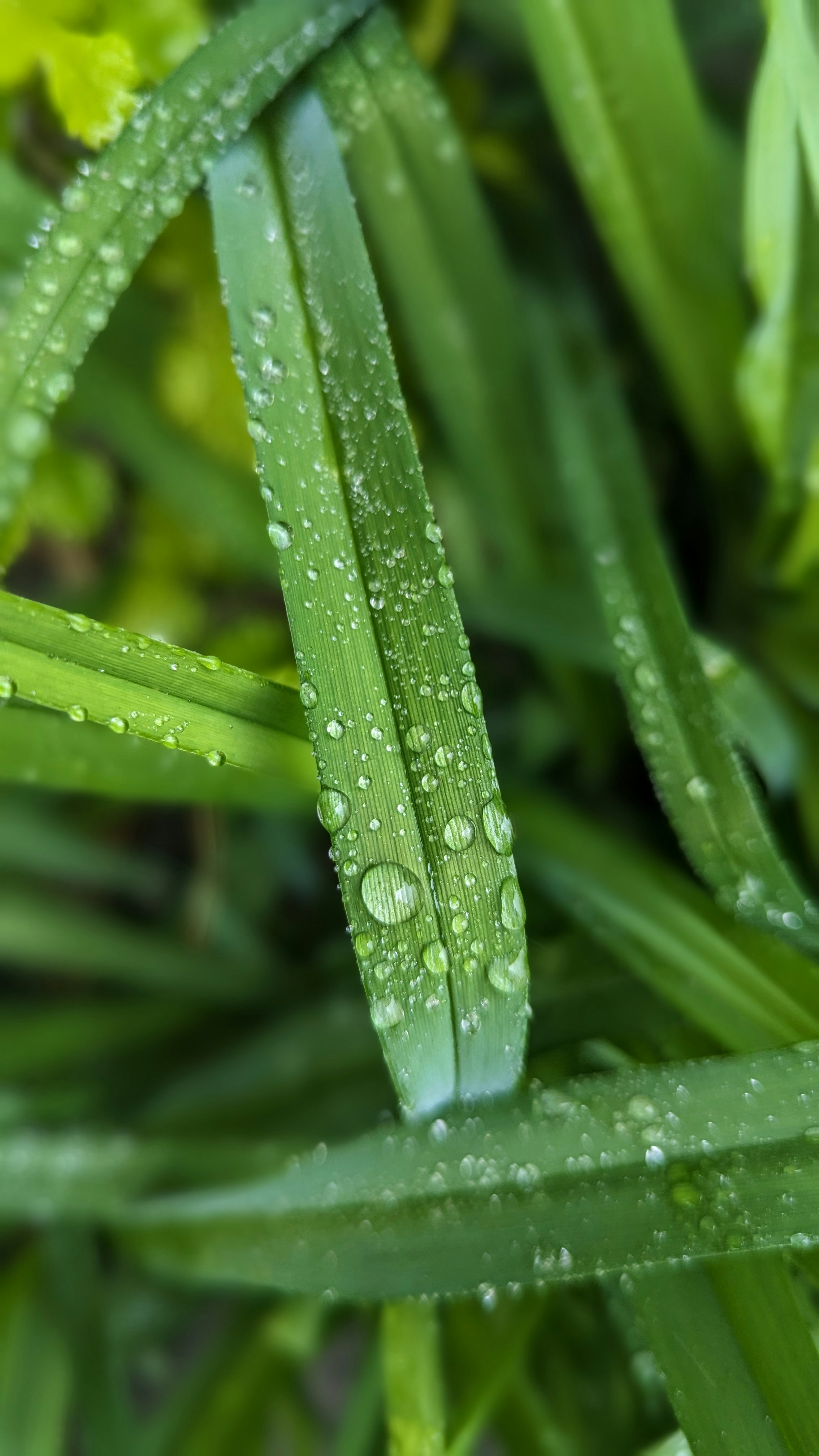 Photo by vishalmistry499