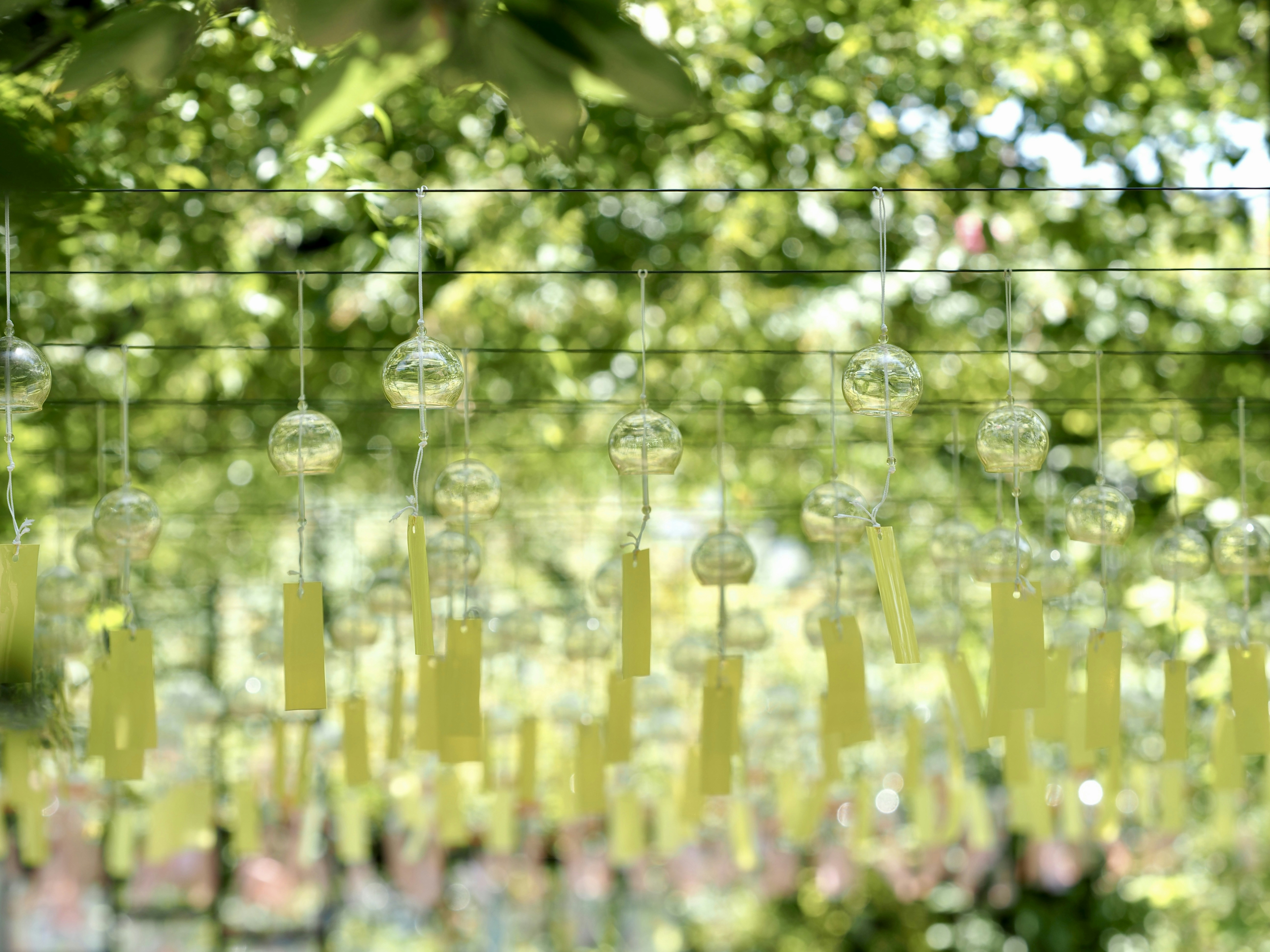 a group of glass balls hanging from a wire
