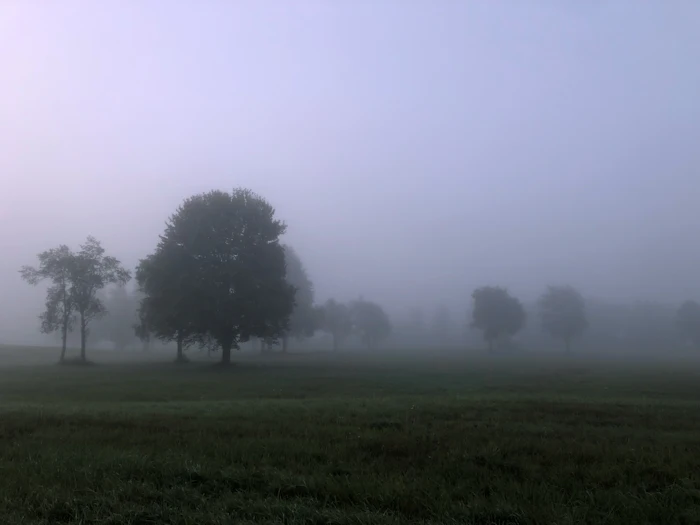 El terreno en una mañana de niebla