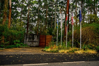 Several tall trees form a dense forest backdrop. In the foreground, a stone wall and a wooden gate are surrounded by various plants and greenery. Five flagpoles display different flags, suggesting an international or diplomatic setting.