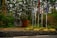 Several tall trees form a dense forest backdrop. In the foreground, a stone wall and a wooden gate are surrounded by various plants and greenery. Five flagpoles display different flags, suggesting an international or diplomatic setting.