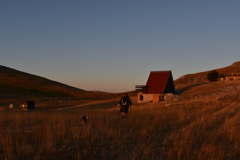 a person walking in a field with a dog