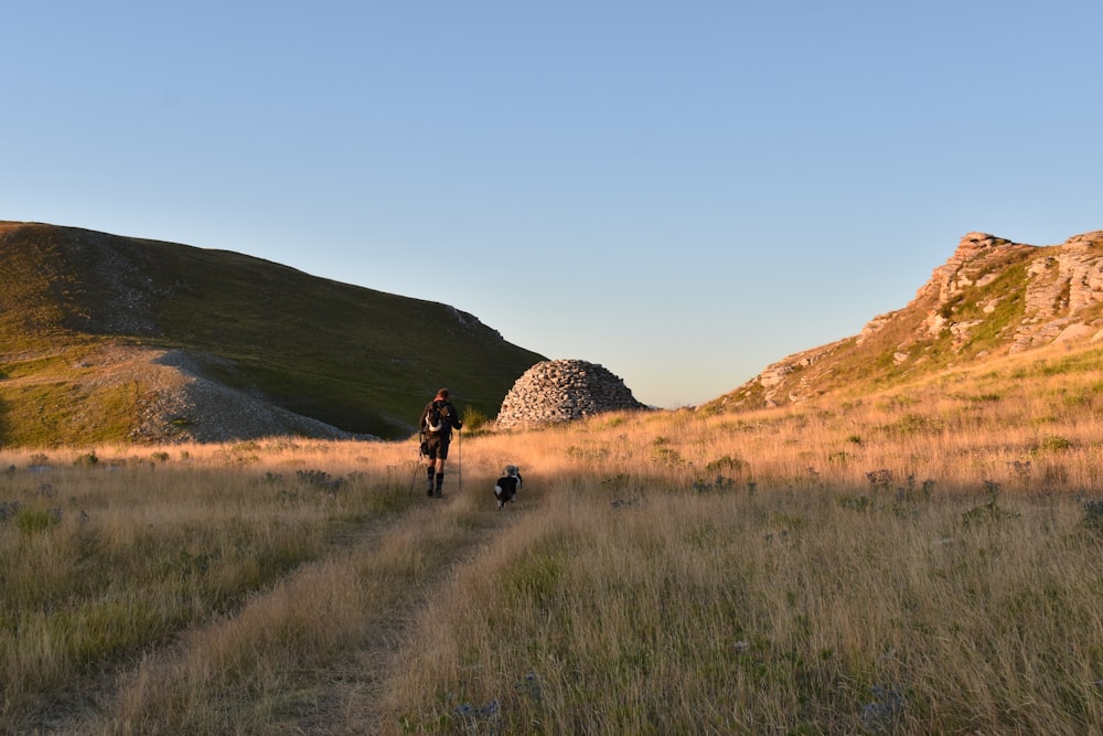 a man and a dog are walking in a field