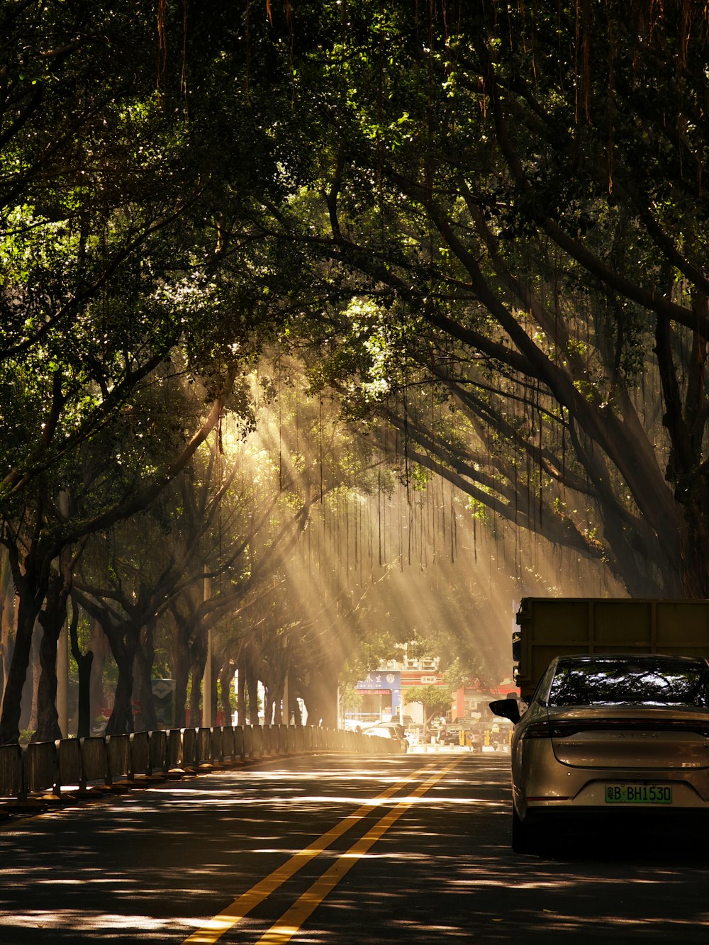 a car driving down a street next to a forest