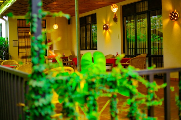 Cozy outdoor lounge area with tropical plants and soft ambient lighting at dusk.