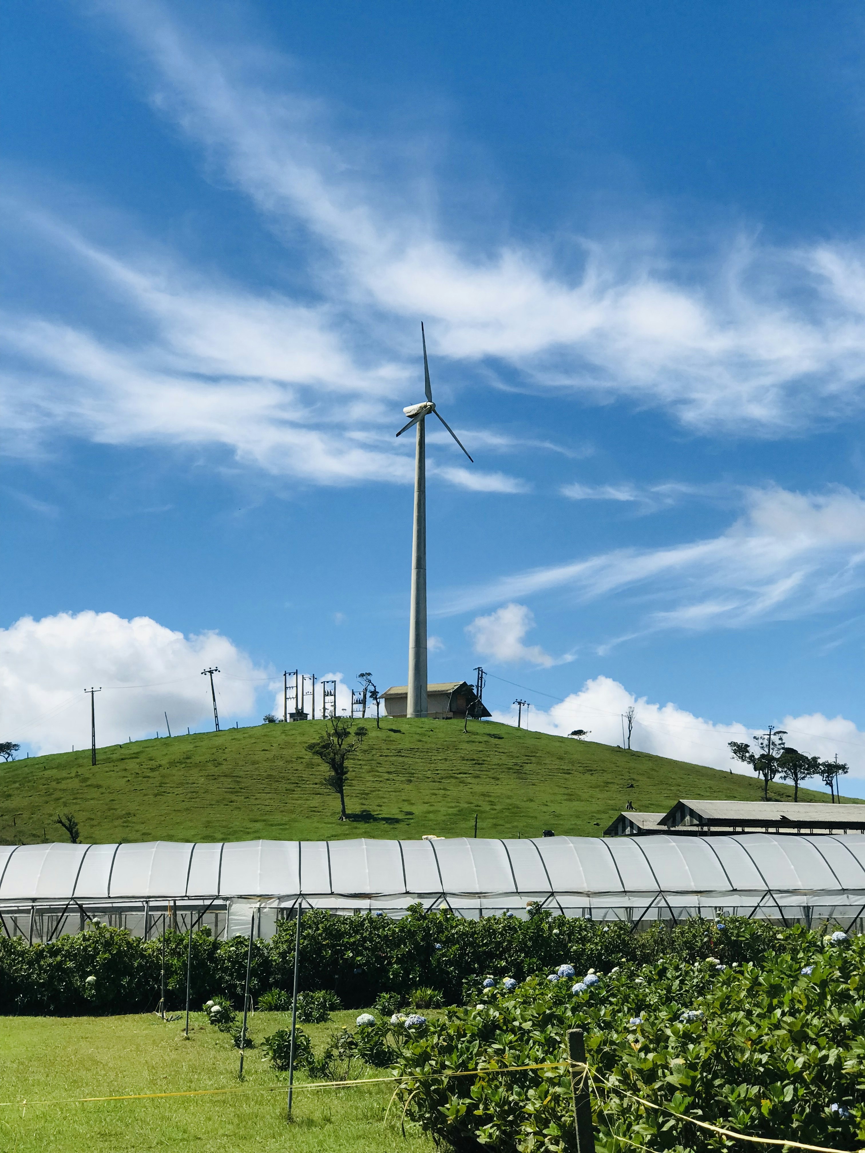 Une éolienne moderne se dresse derrière des serres sur une colline verdoyante.