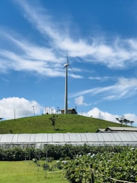 a wind turbine on top of a green hill