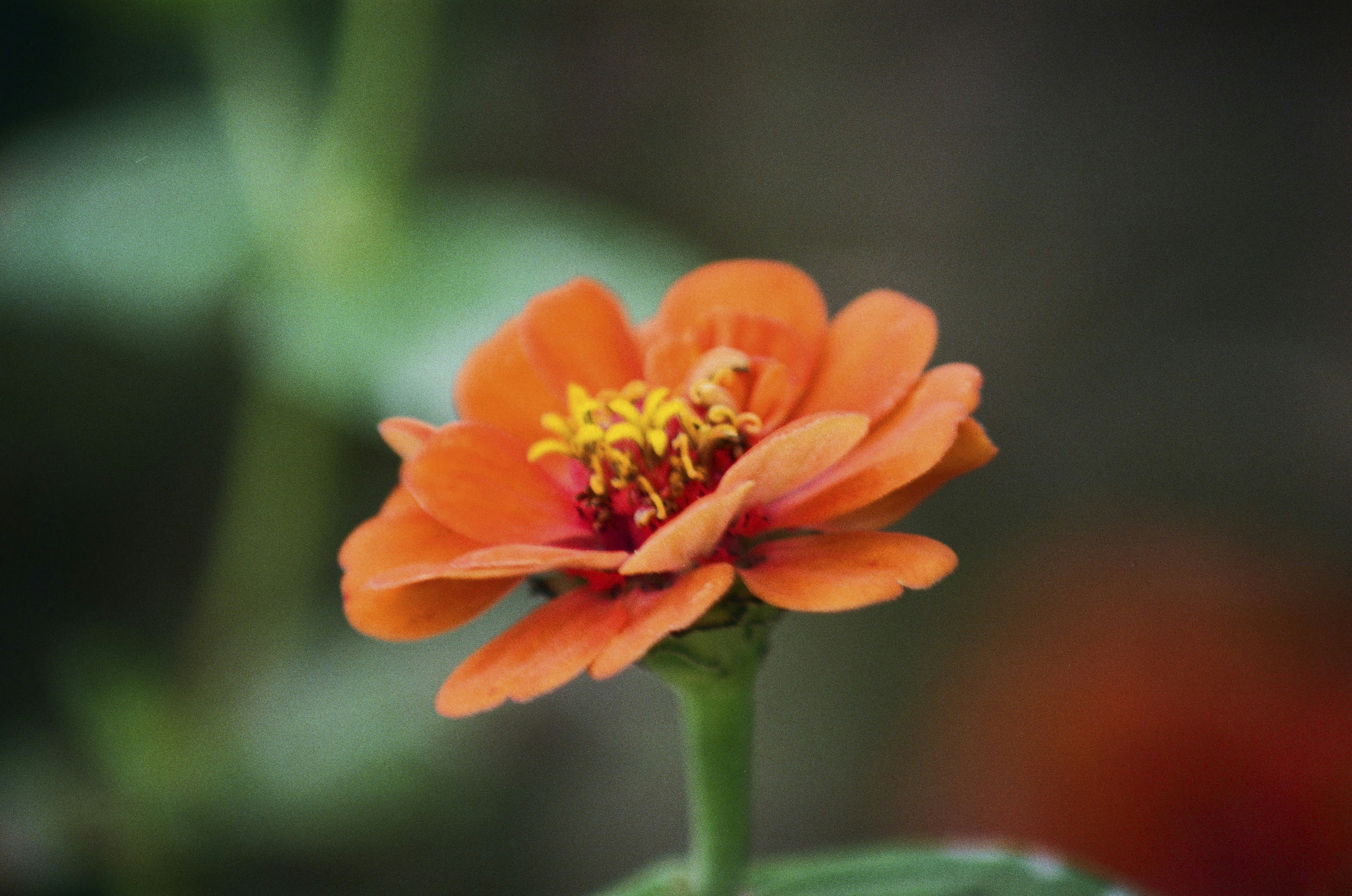 Photo by itscameracole_