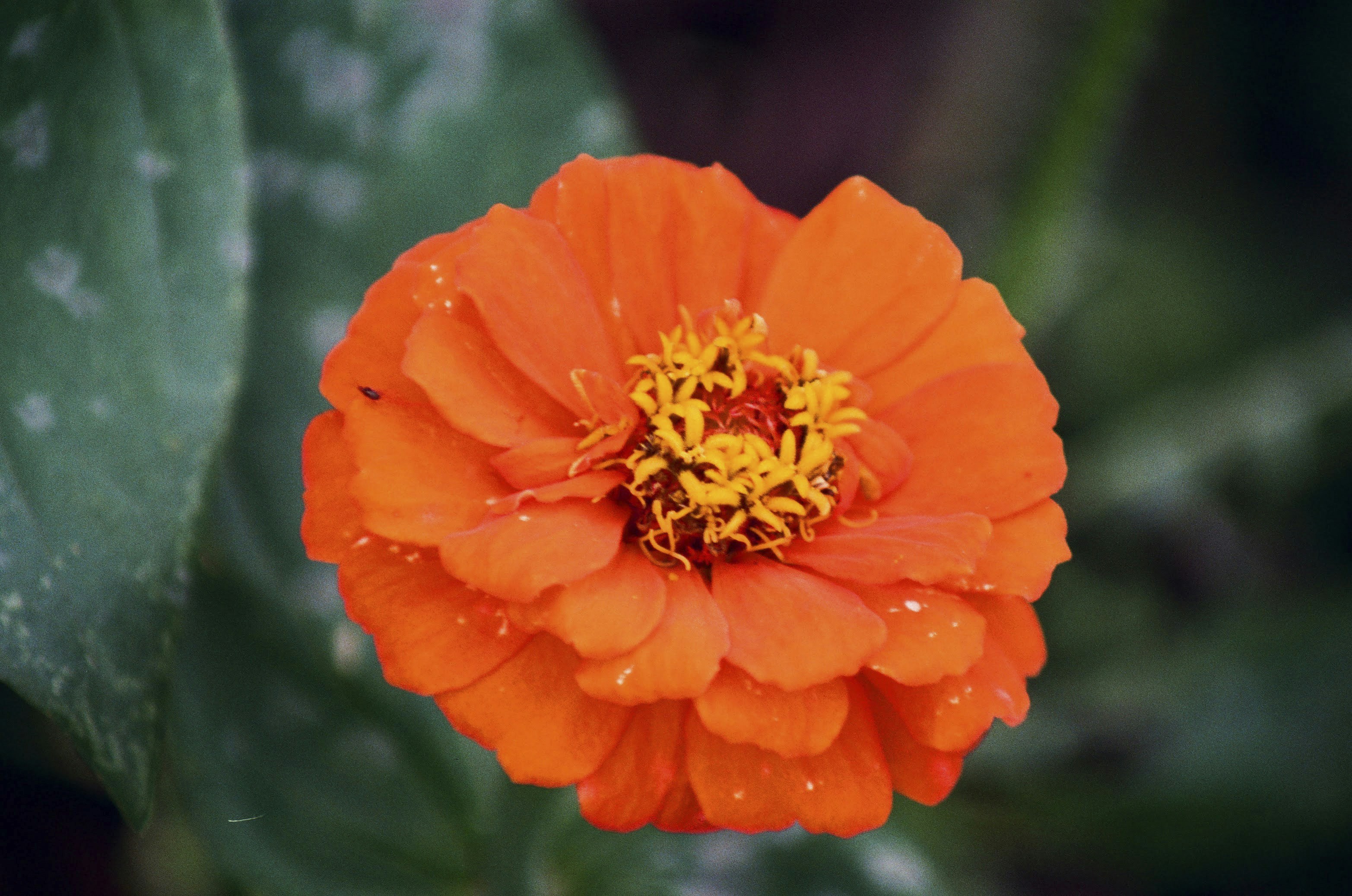 Photo by itscameracole_