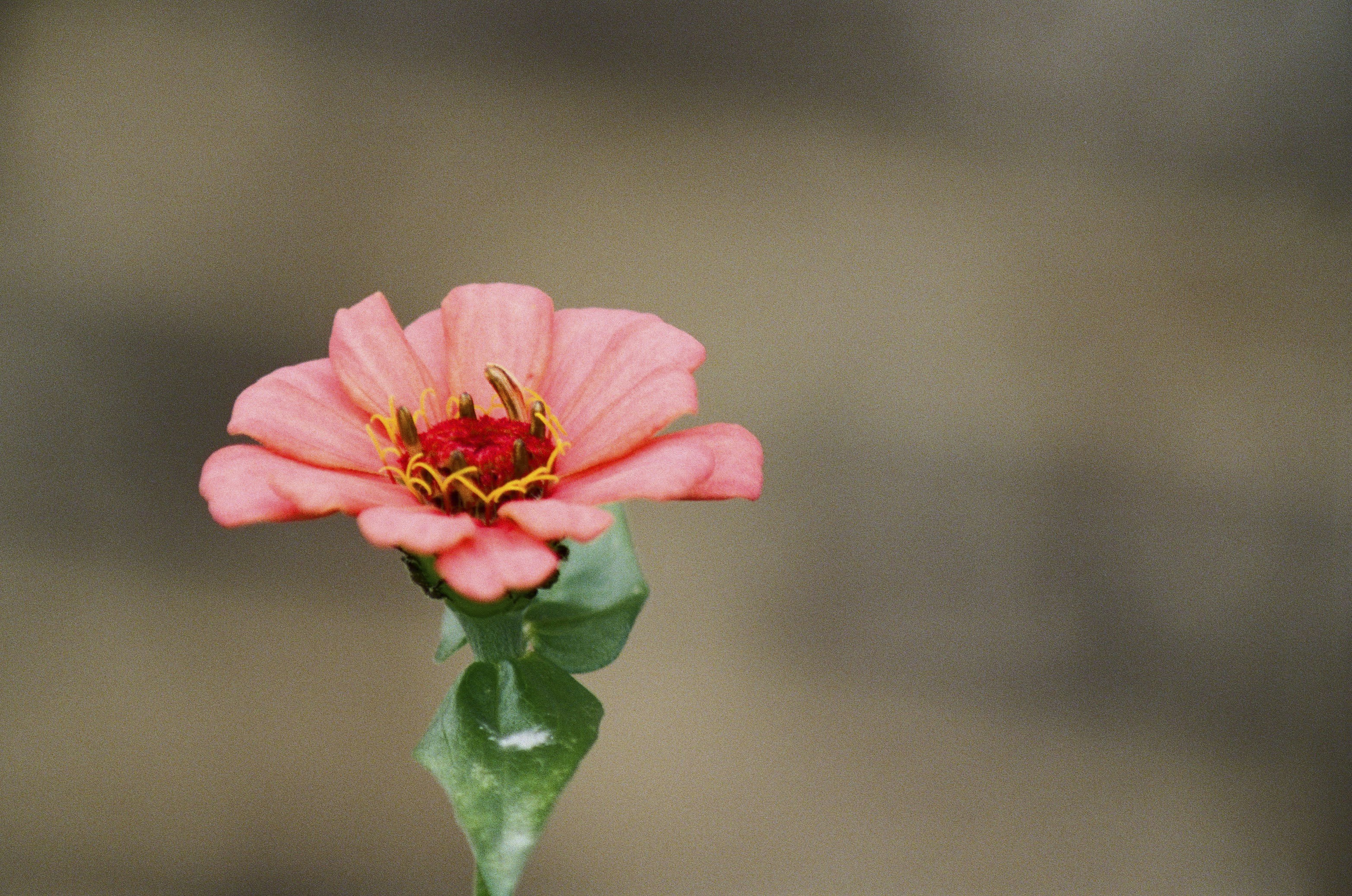 Photo by itscameracole_