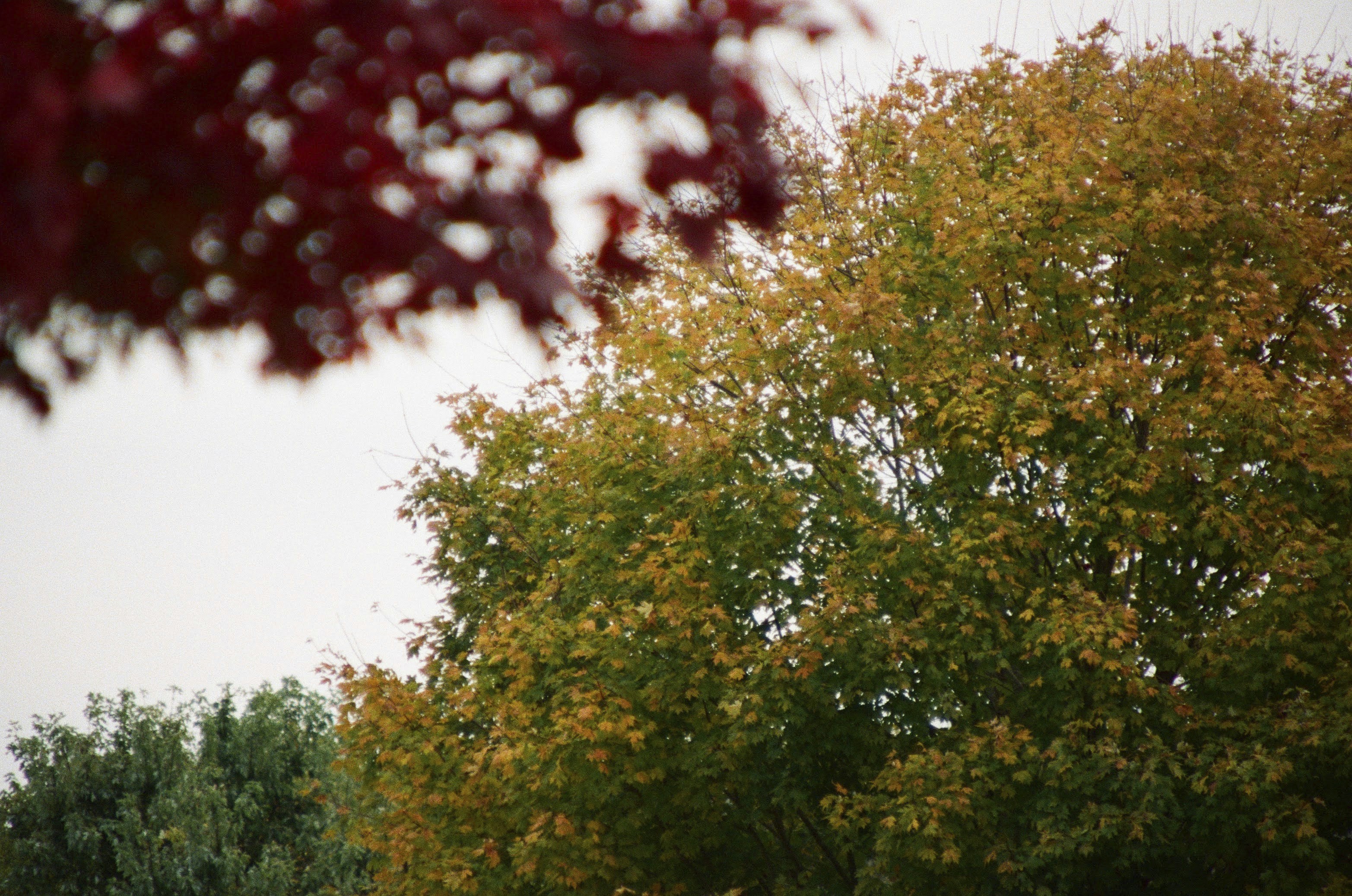 Photo by itscameracole_