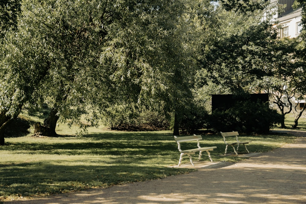 a row of white benches sitting next to a lush green park