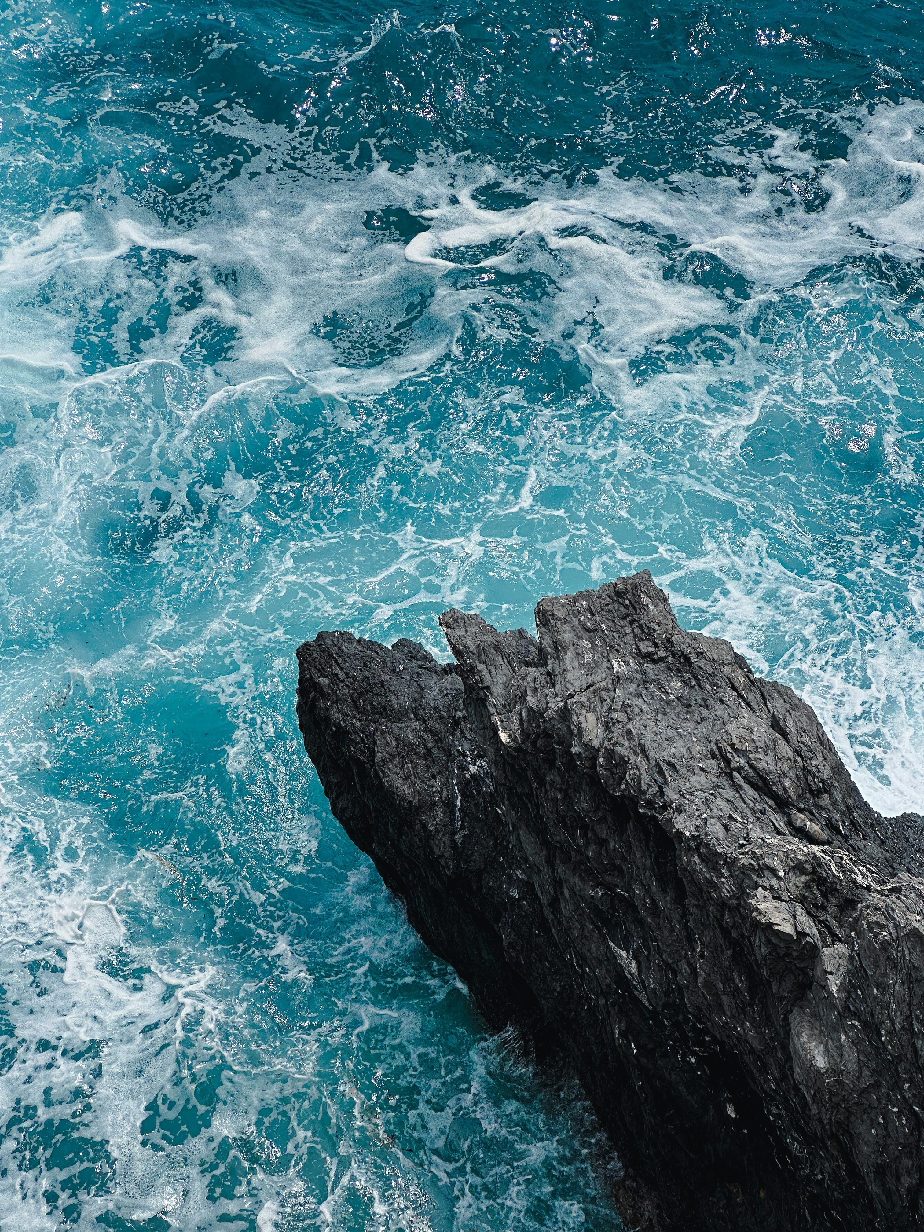 Photo by cameronkyle