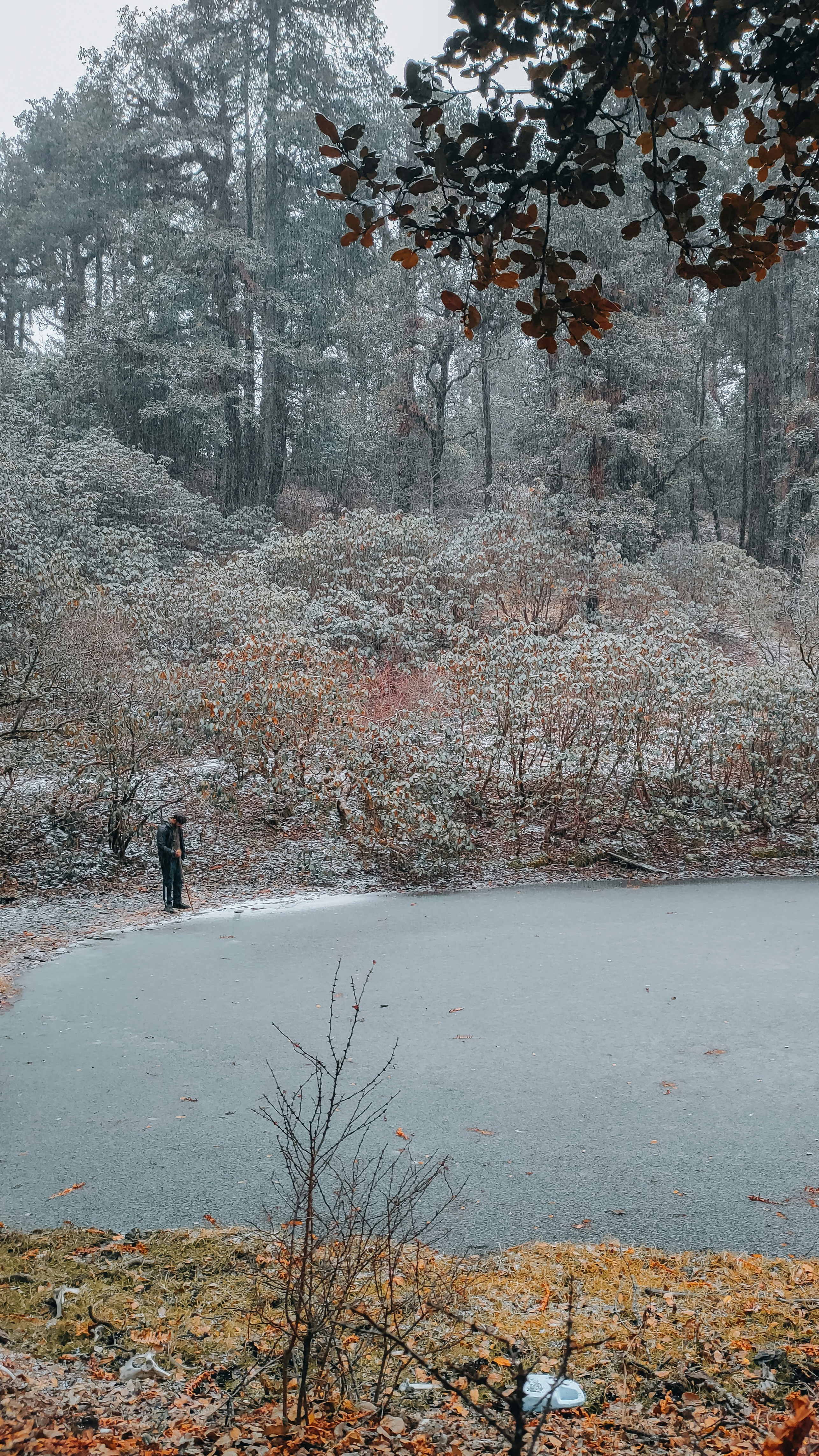 a couple of people standing next to a lake