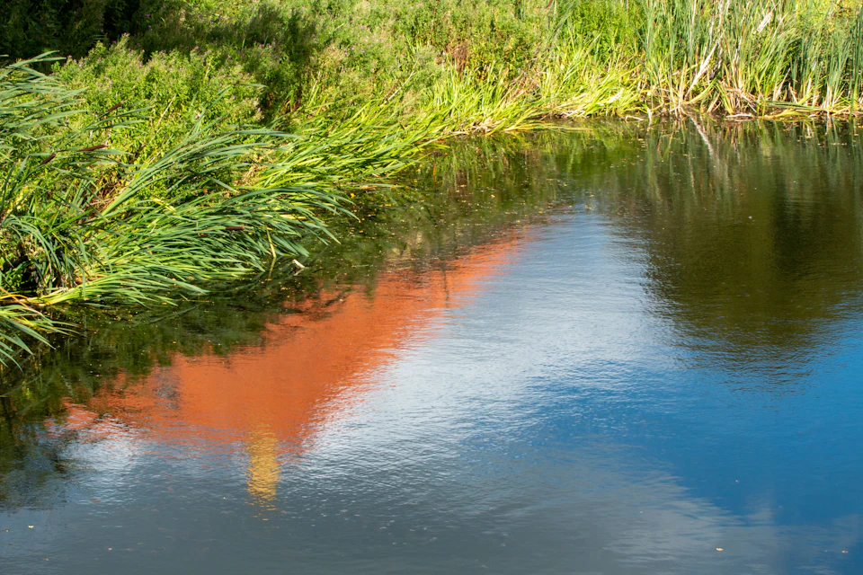 The image depicts a serene scene at a pond, with a small red building partially submerged in the water and its reflection visible on the calm surface. The pond is surrounded by lush green vegetation, including tall grasses that sway gently in the breeze. The sky above is a clear blue, providing a beautiful backdrop to the tranquil setting.