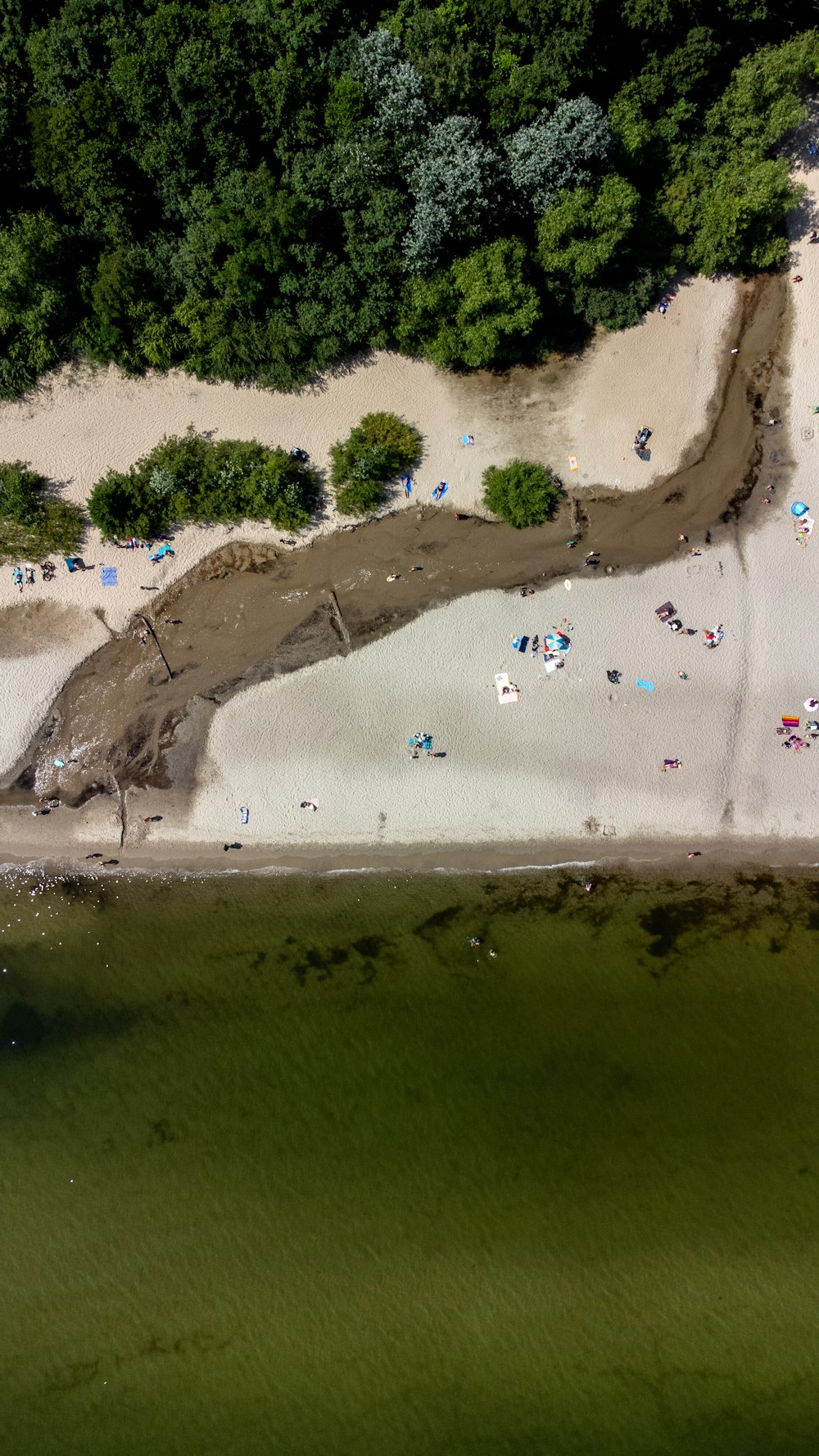 an aerial view of a sandy beach with trees in the background