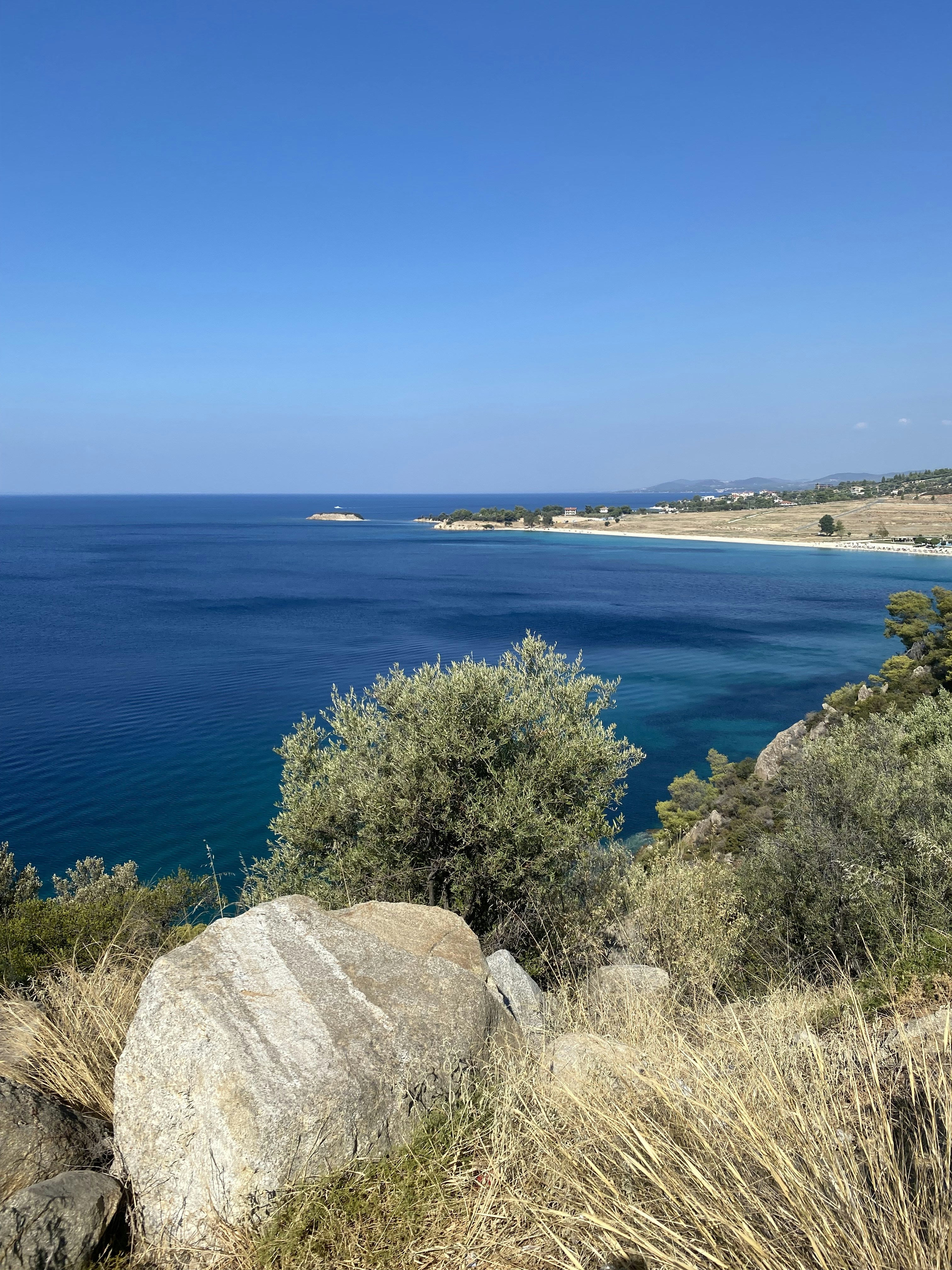 una grande roccia seduta sulla cima di una collina verde lussureggiante