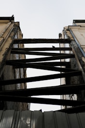 a bird is perched on the top of a building