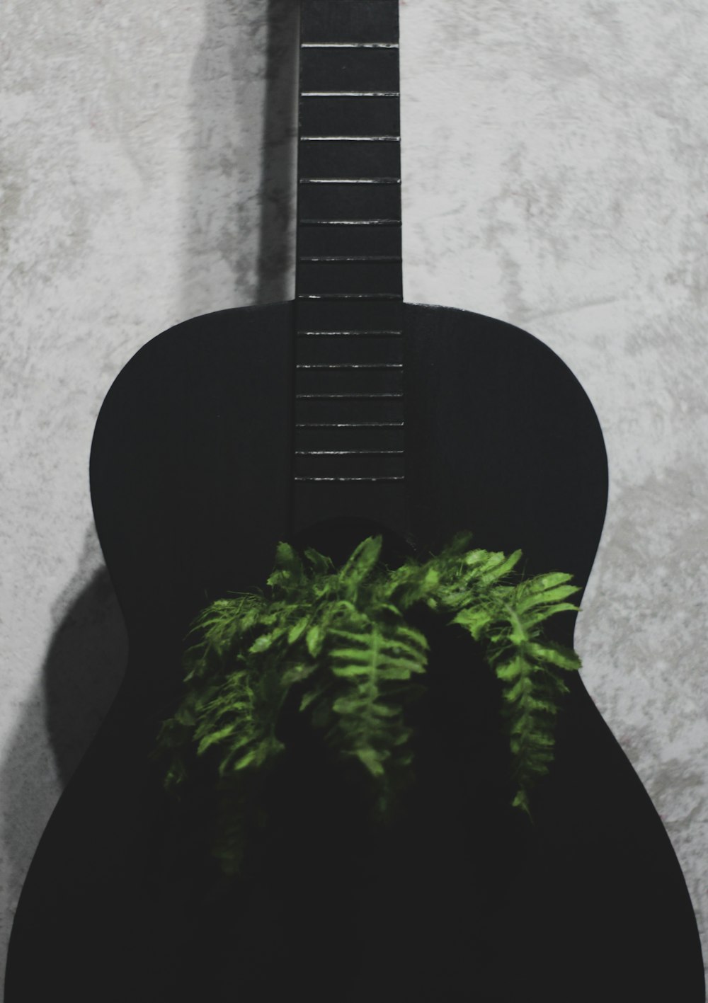 une guitare noire avec une plante de fougère dessus