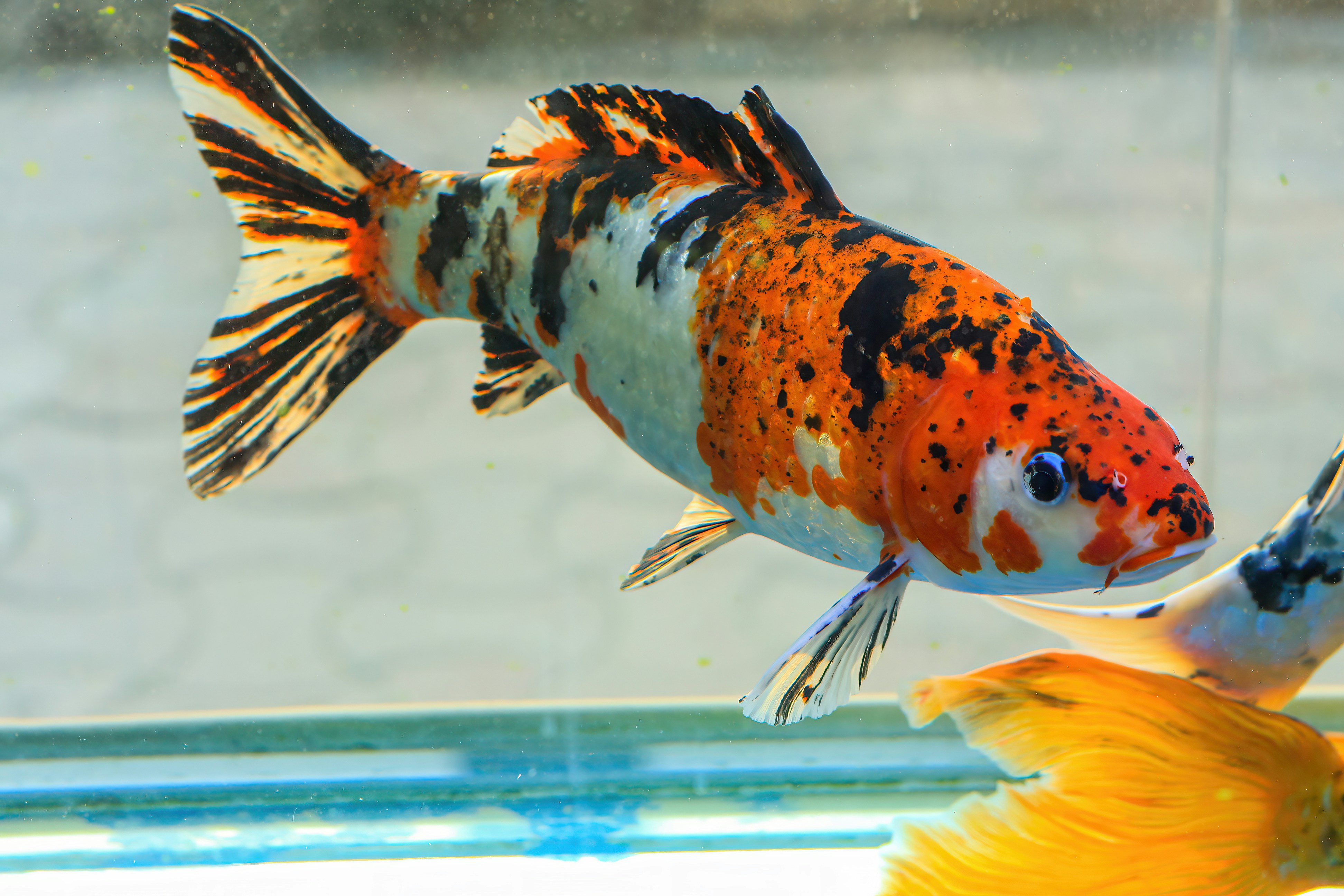 Photo by akbarnemati