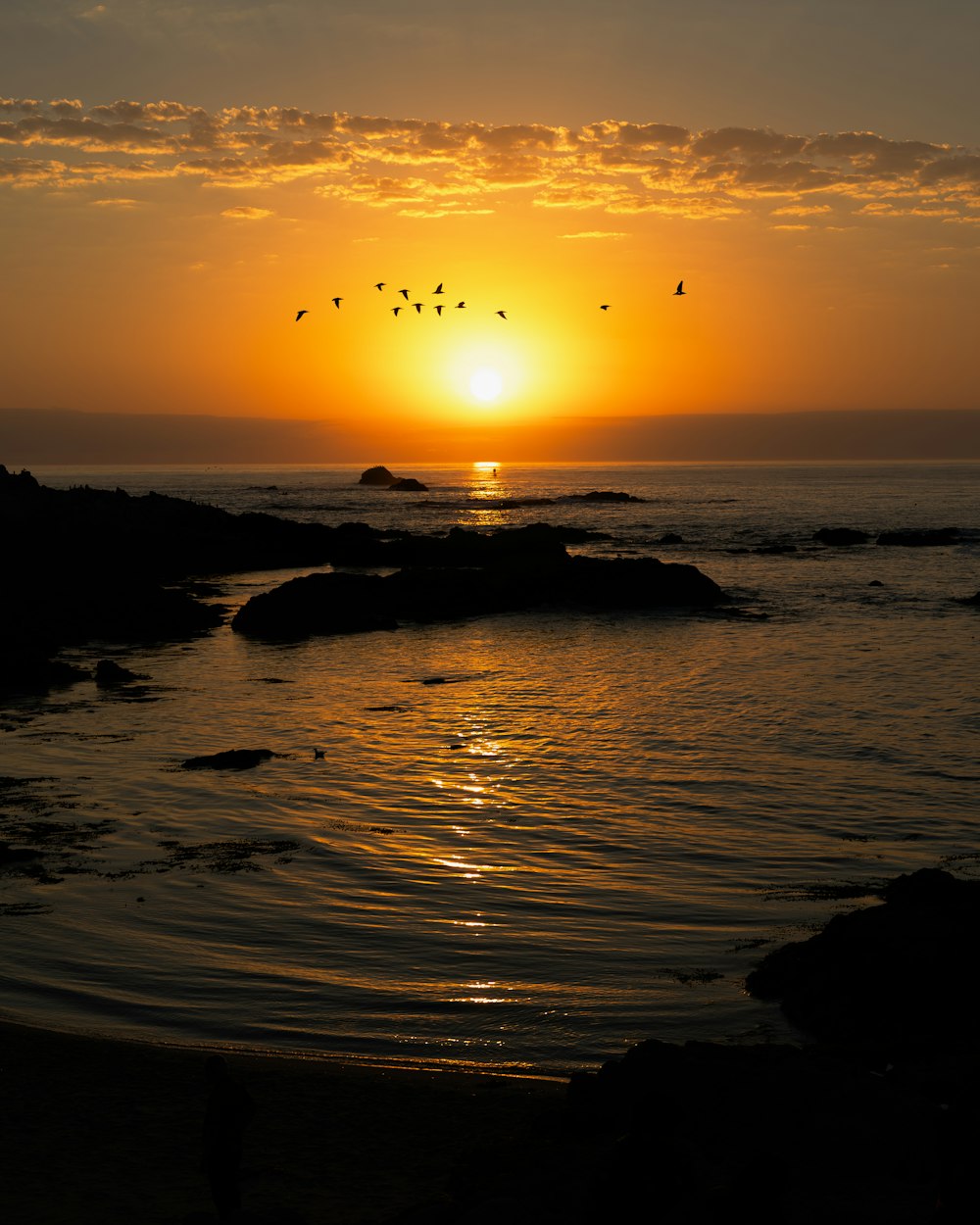 a sunset over the ocean with birds flying in the sky