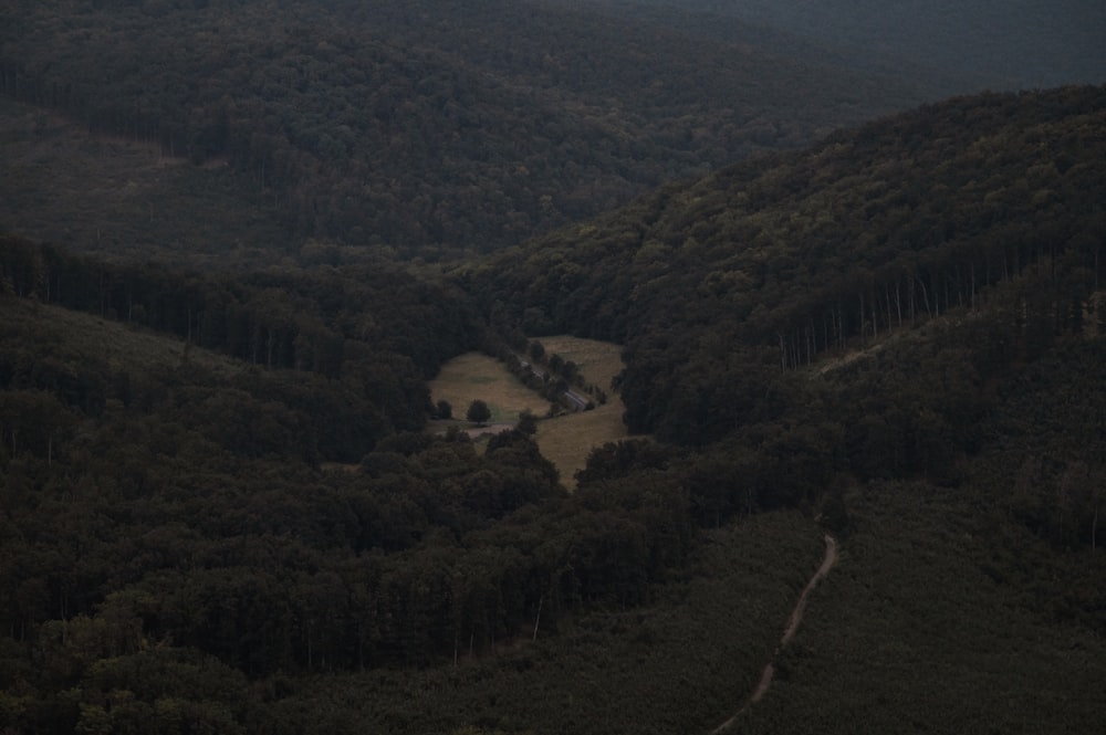 an aerial view of a valley surrounded by trees