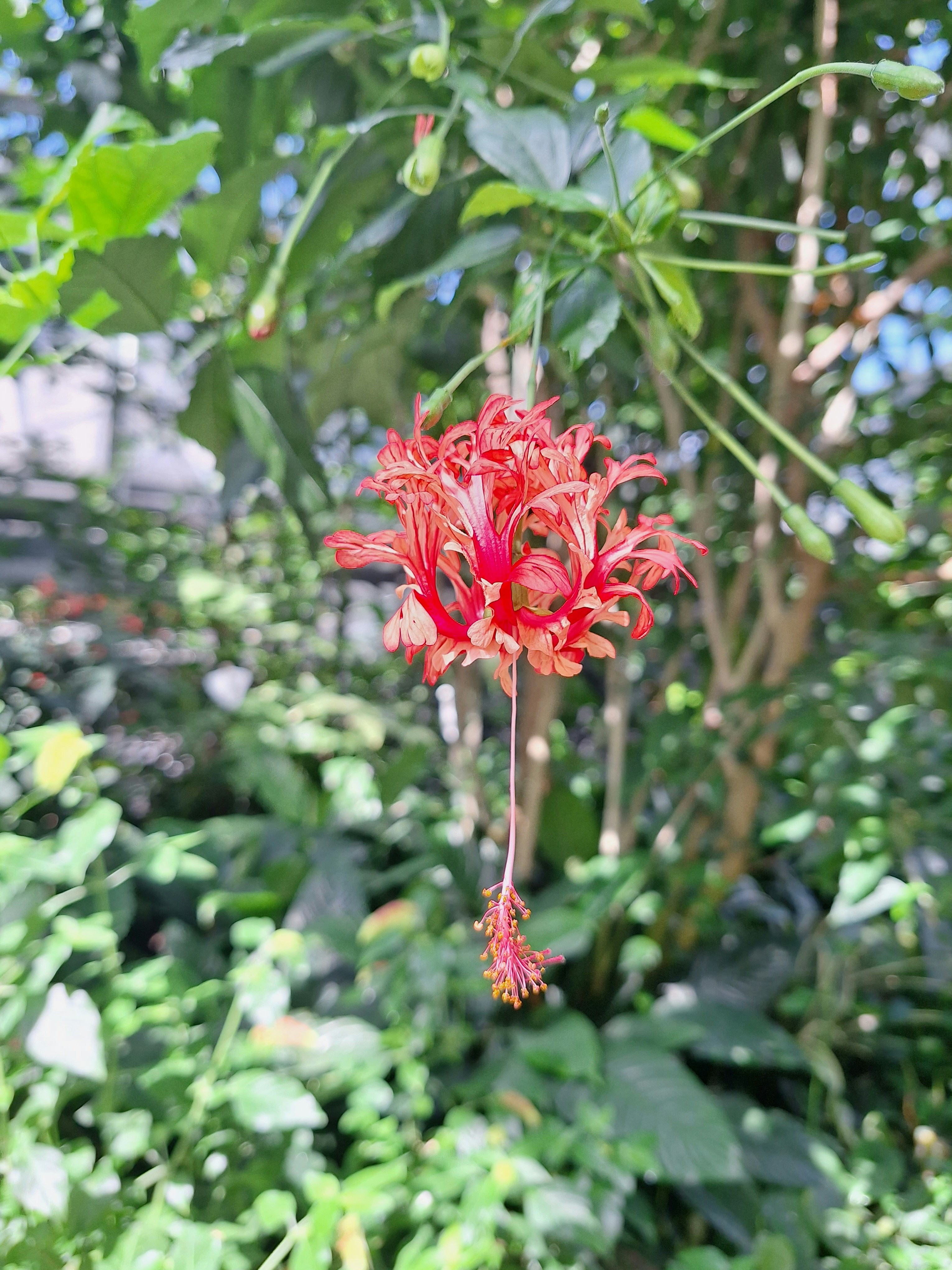 Photo by calin_oancea