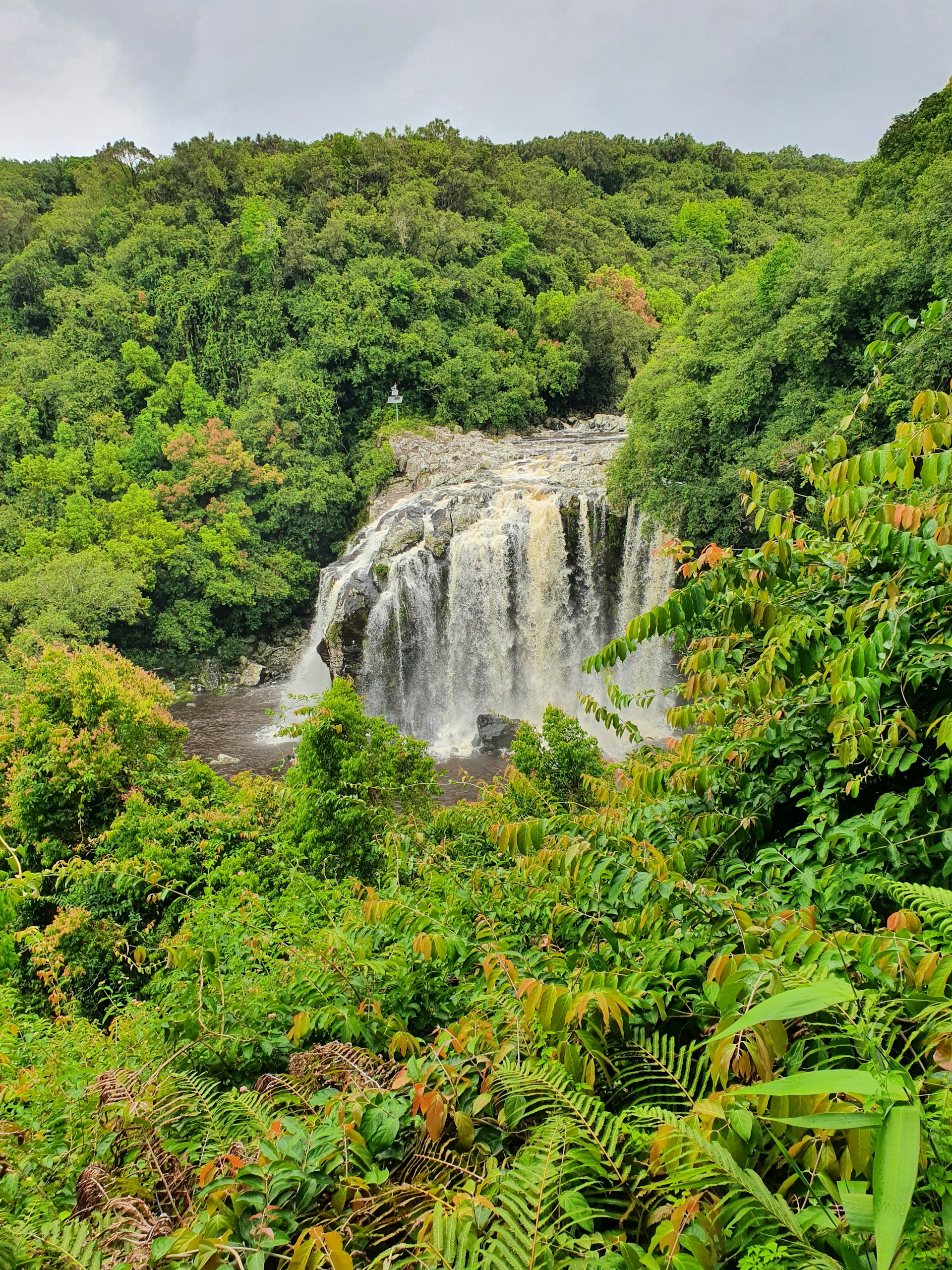 a waterfall in the middle of a lush green forest