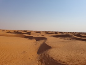 a sandy area with a blue sky in the background