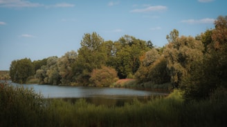 A serene landscape with a calm river flowing through lush greenery, symbolizing peace and tranquility.