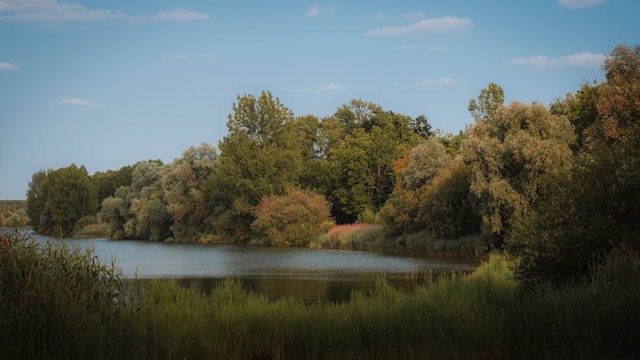A serene landscape with a calm river flowing through lush greenery, symbolizing peace and tranquility.