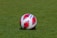 a soccer ball sitting on top of a lush green field