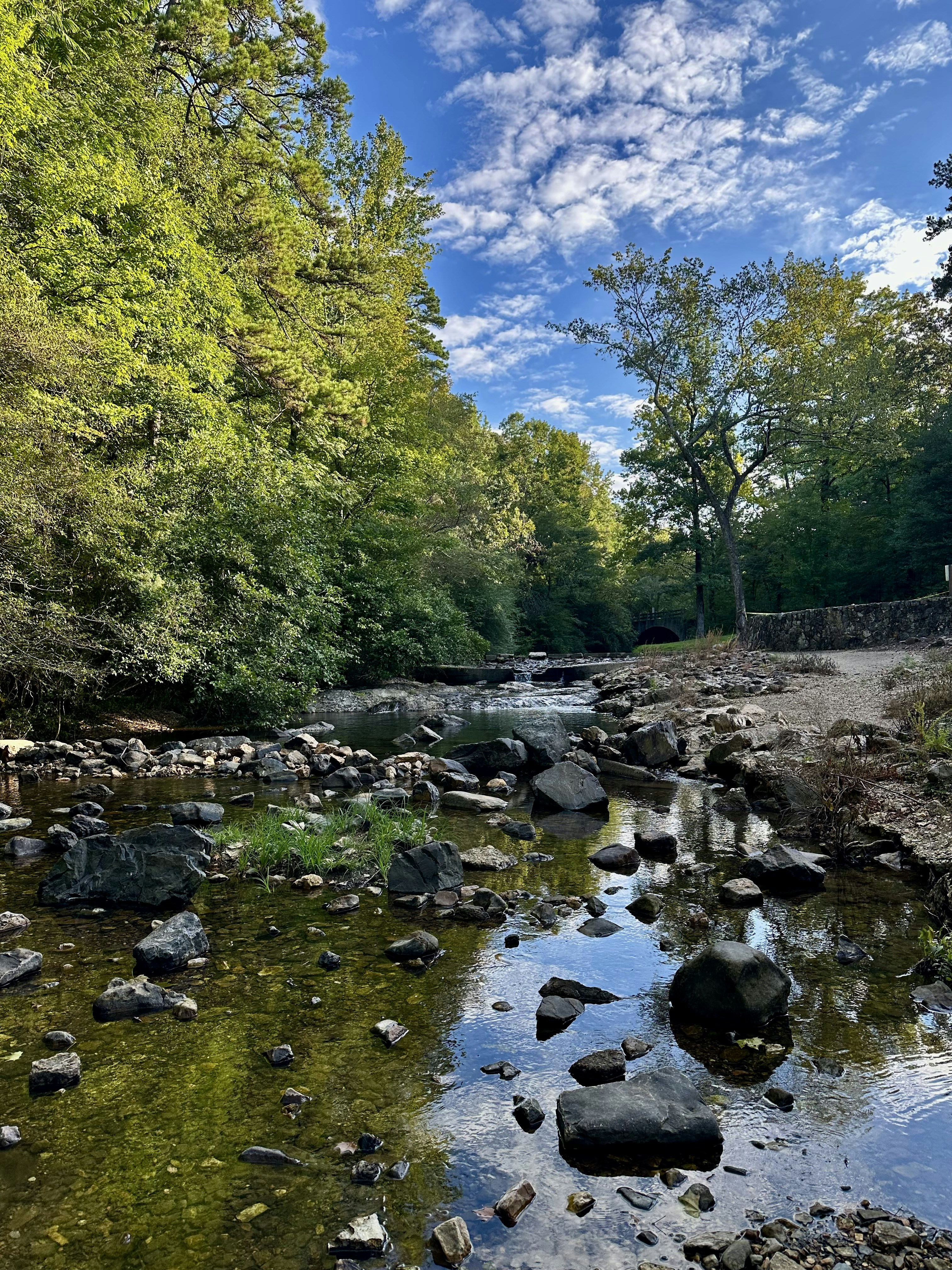 Photo by rollingshots