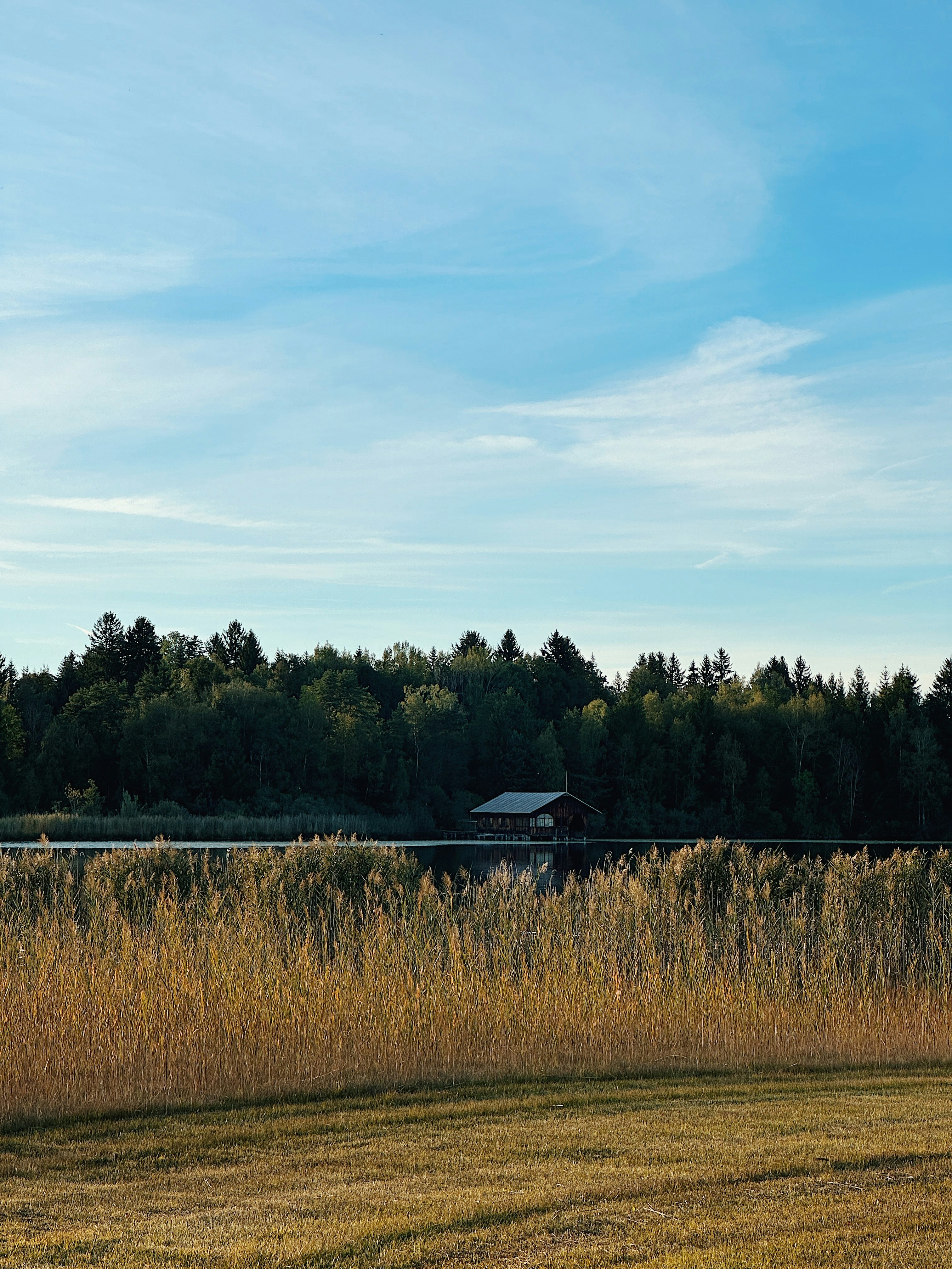 a field with a barn in the distance