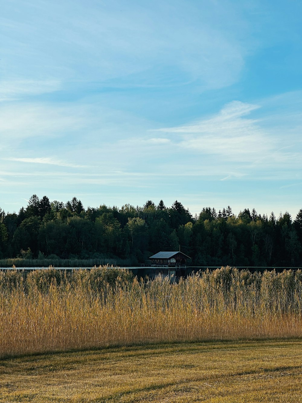 a field with a barn in the distance