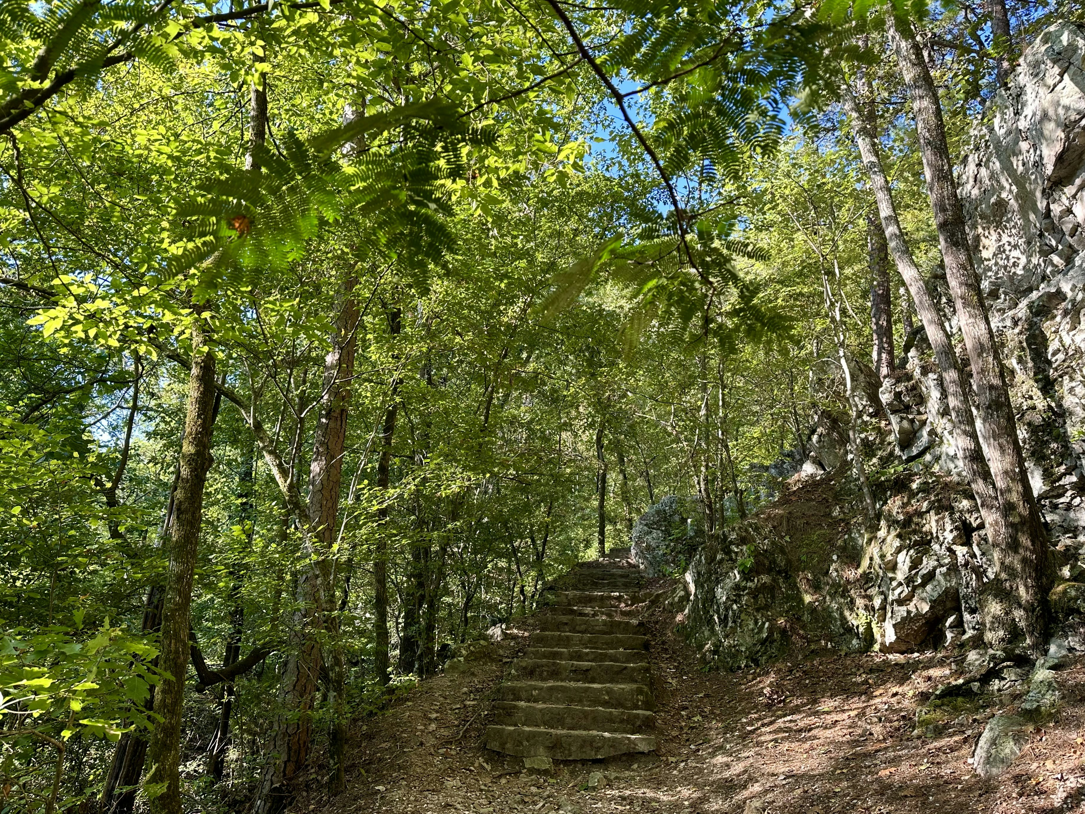 Photo by rollingshots