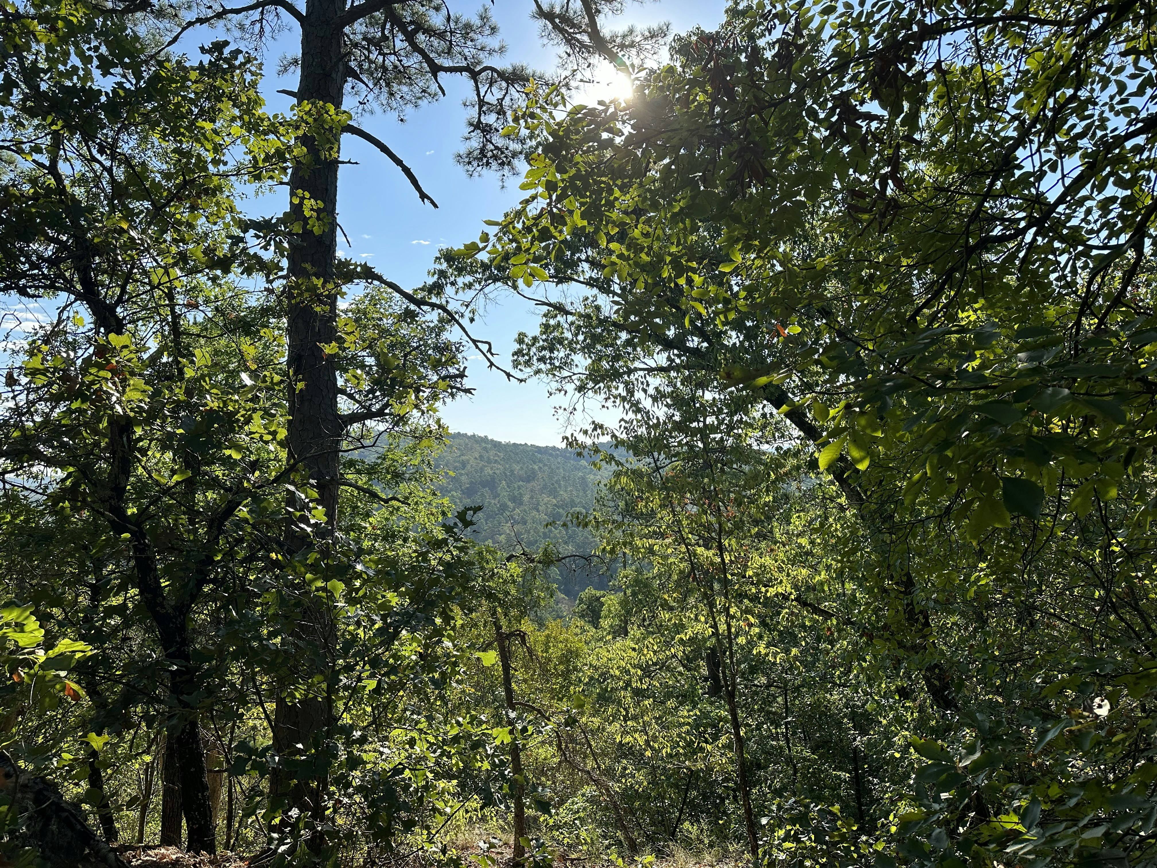 Photo by rollingshots