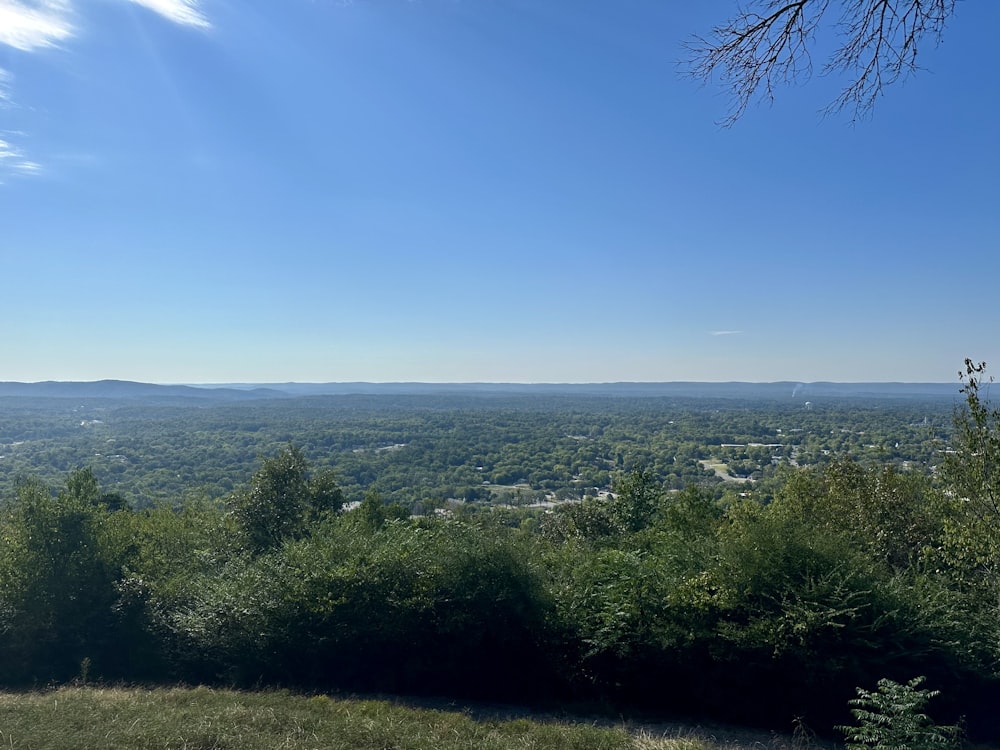 a view of a valley from a hill