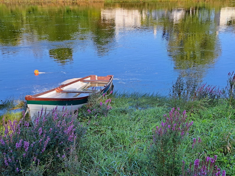 a small boat sitting on the shore of a lake