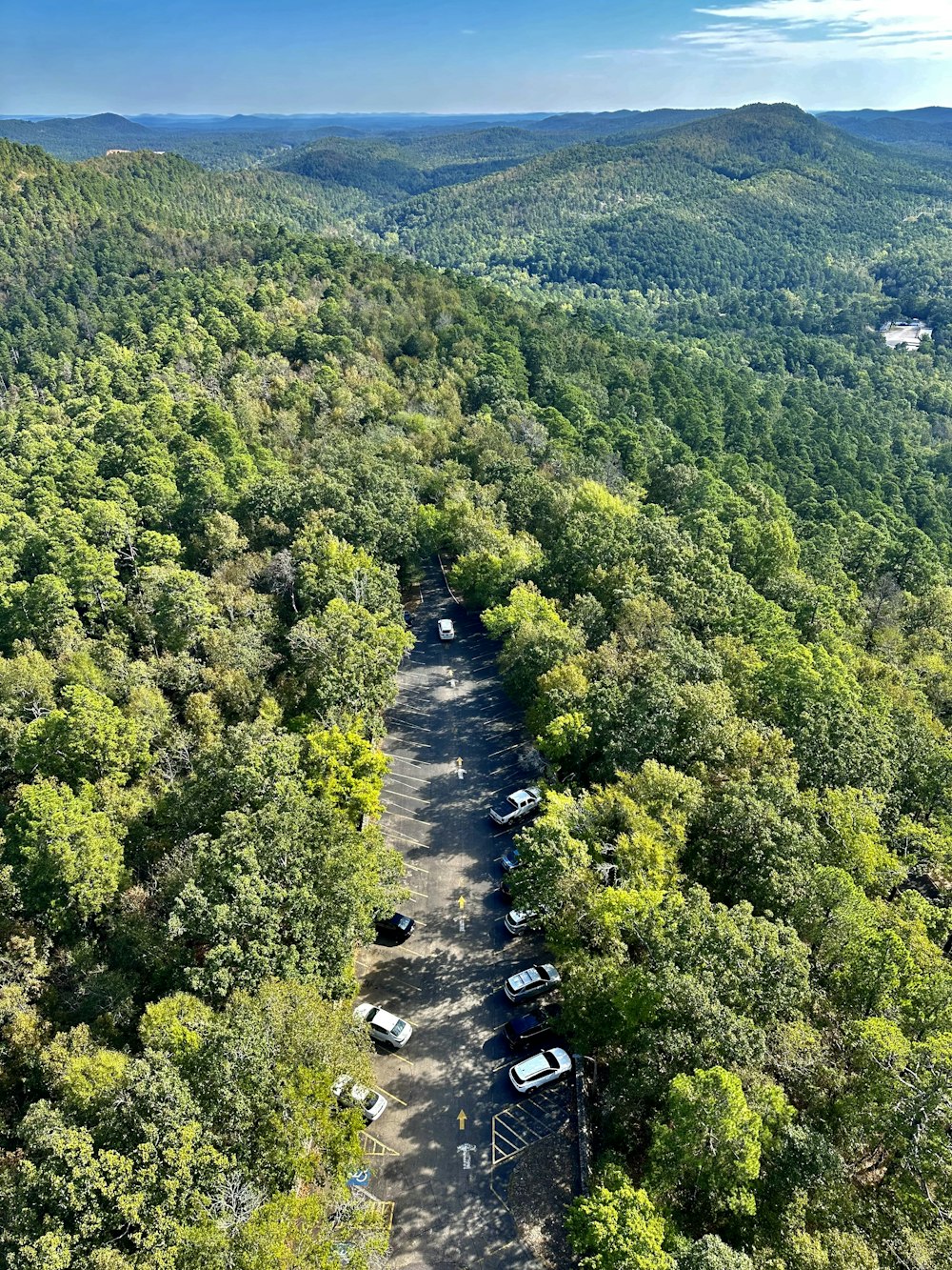 a group of cars parked in a forest