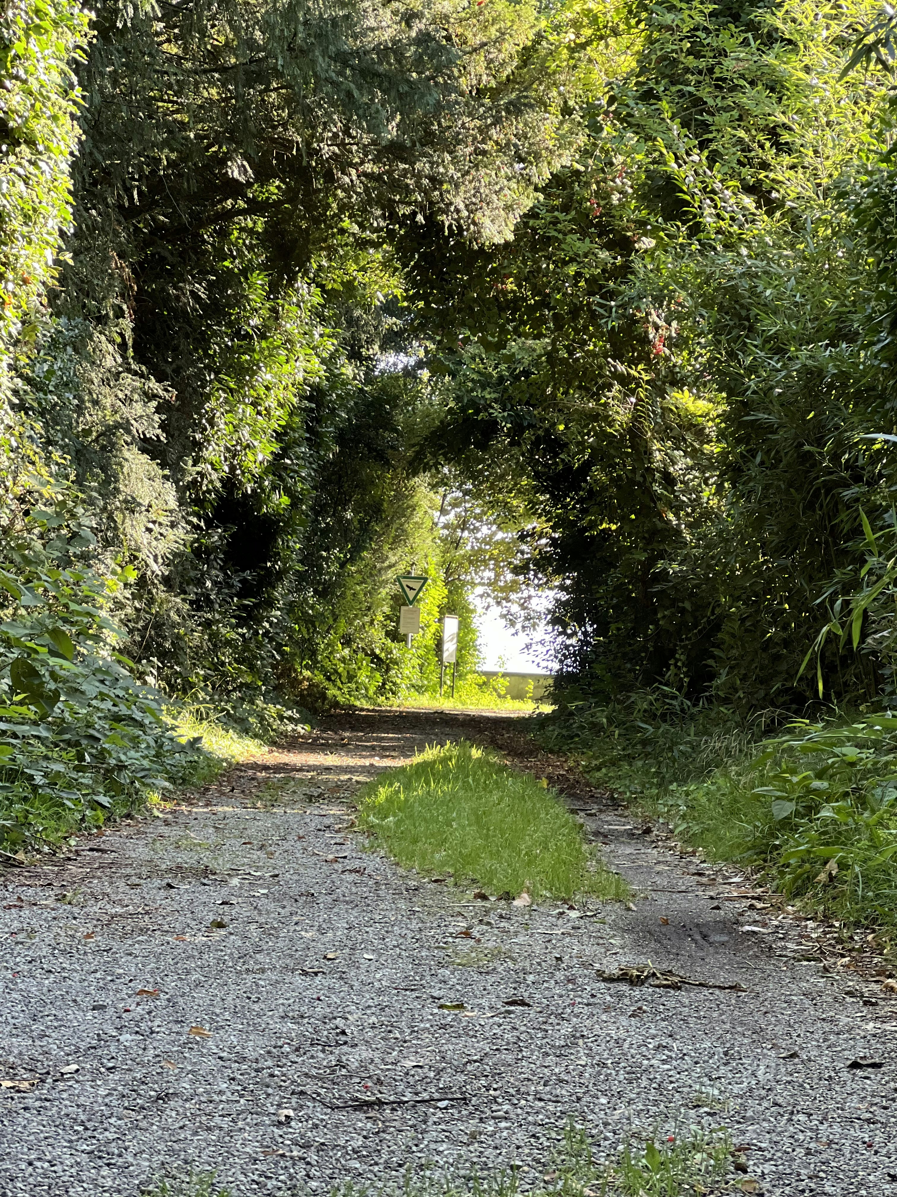 Photo by ioanavalentina