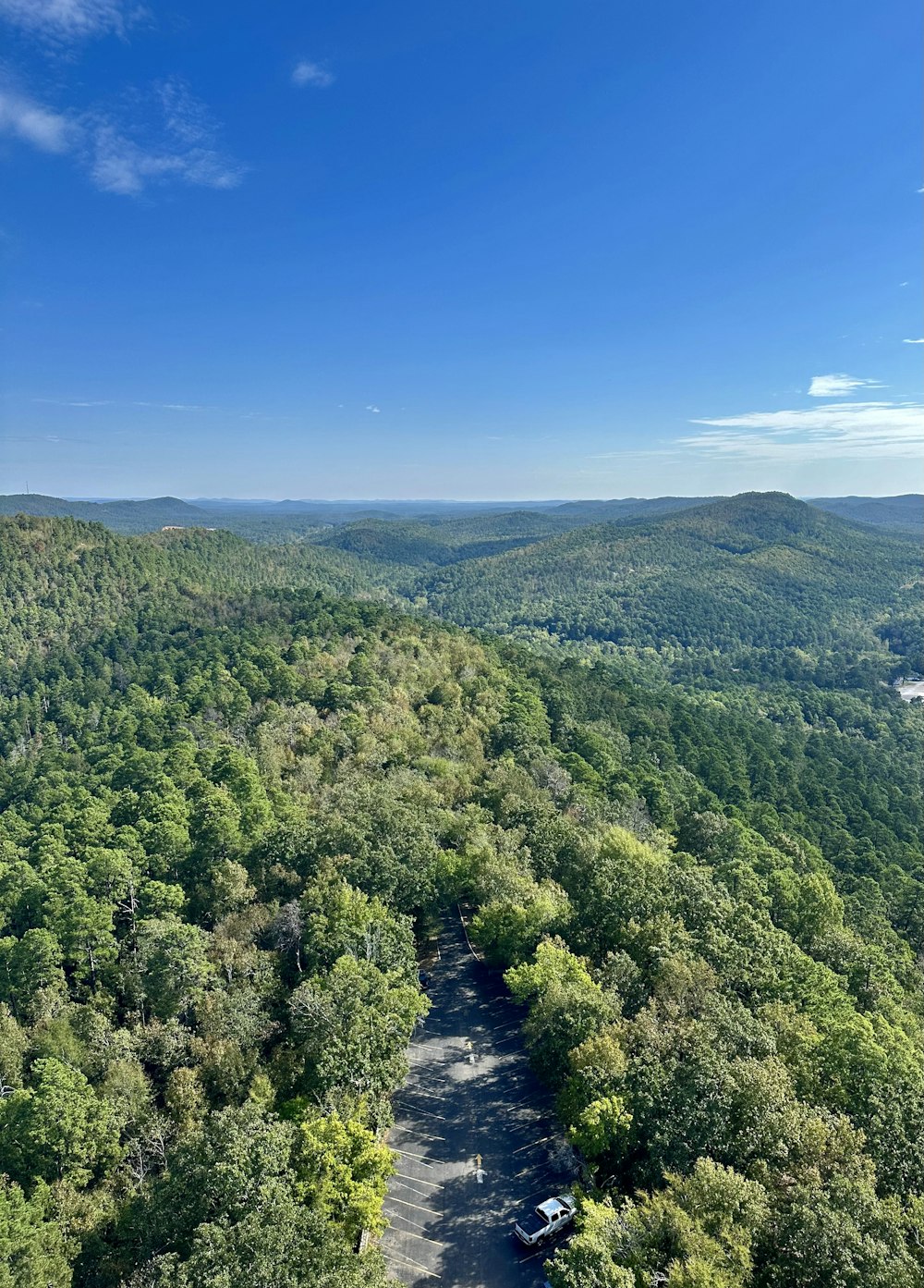 an aerial view of a forest with a river running through it