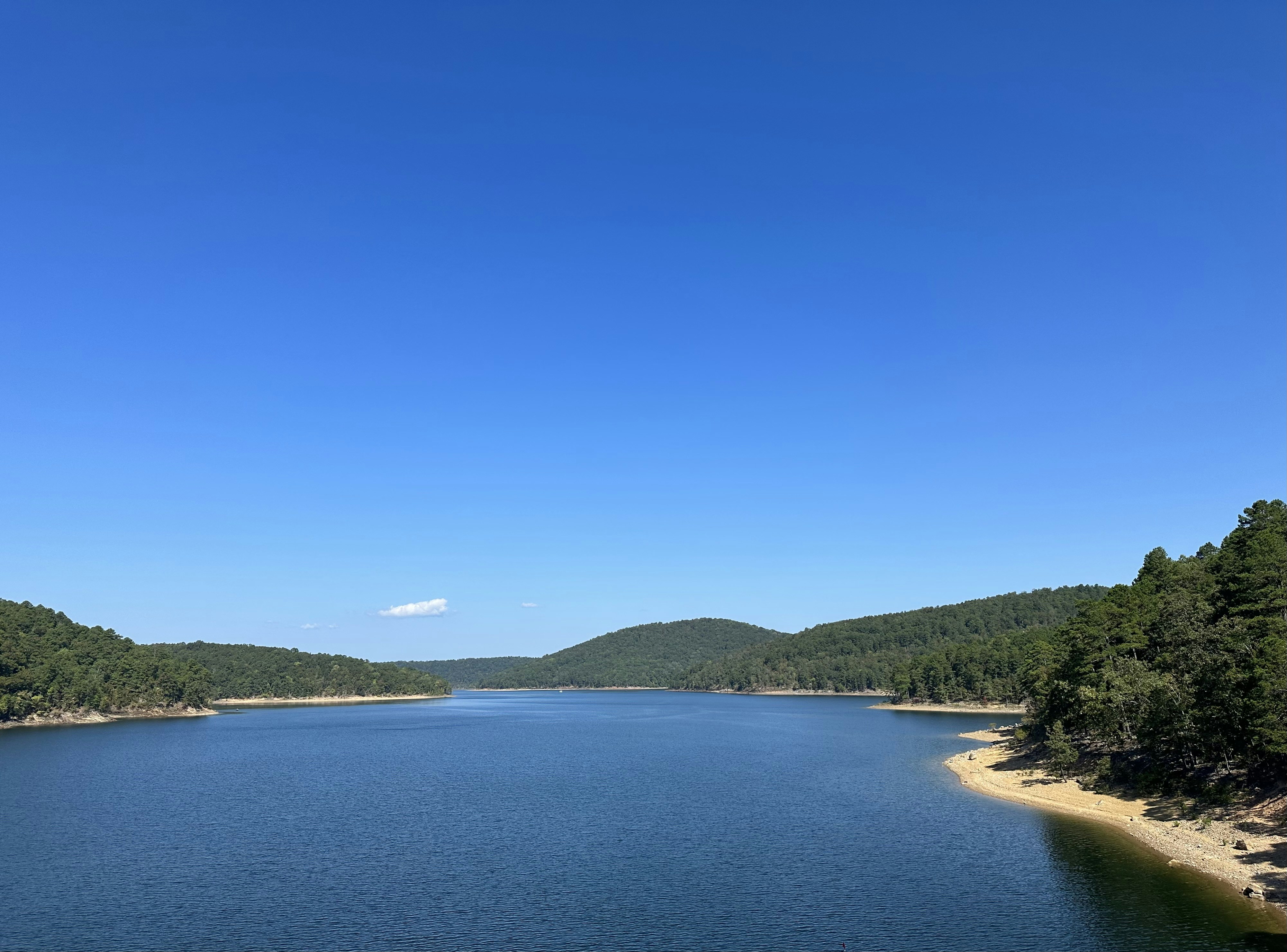 a large body of water surrounded by trees