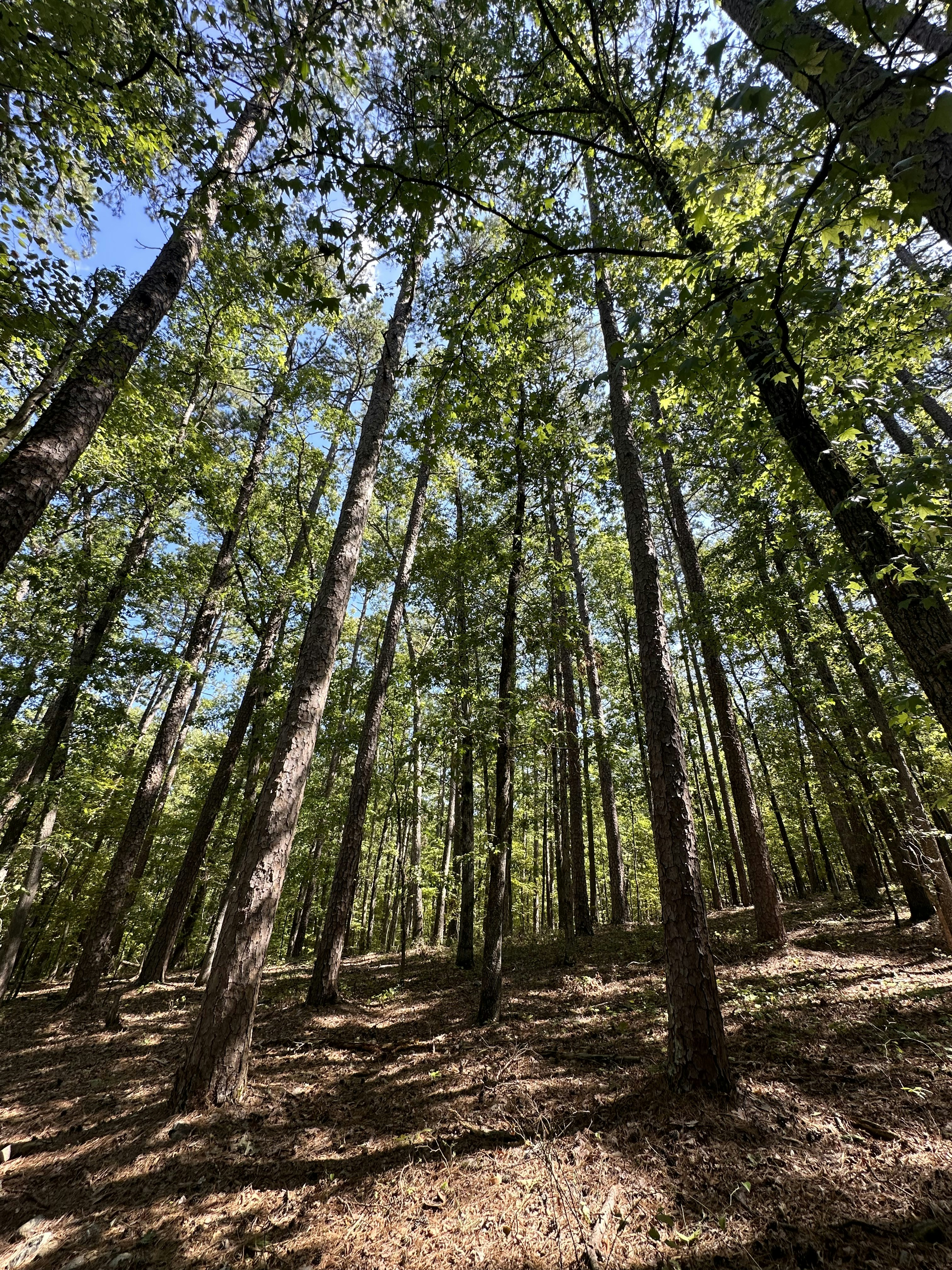 Photo by rollingshots